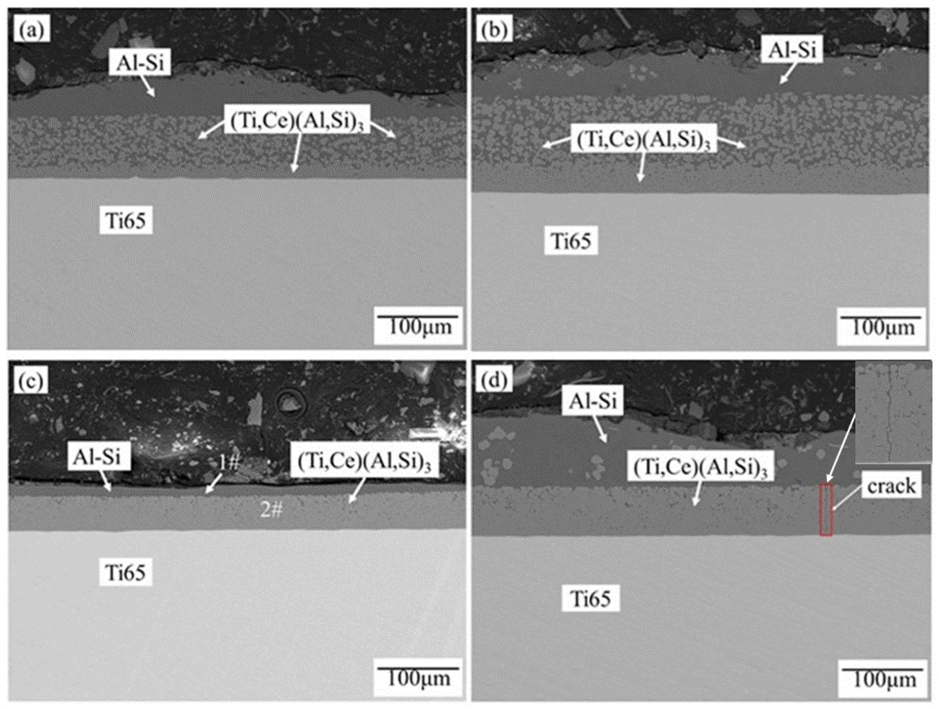 Coatings 13 01244 g002