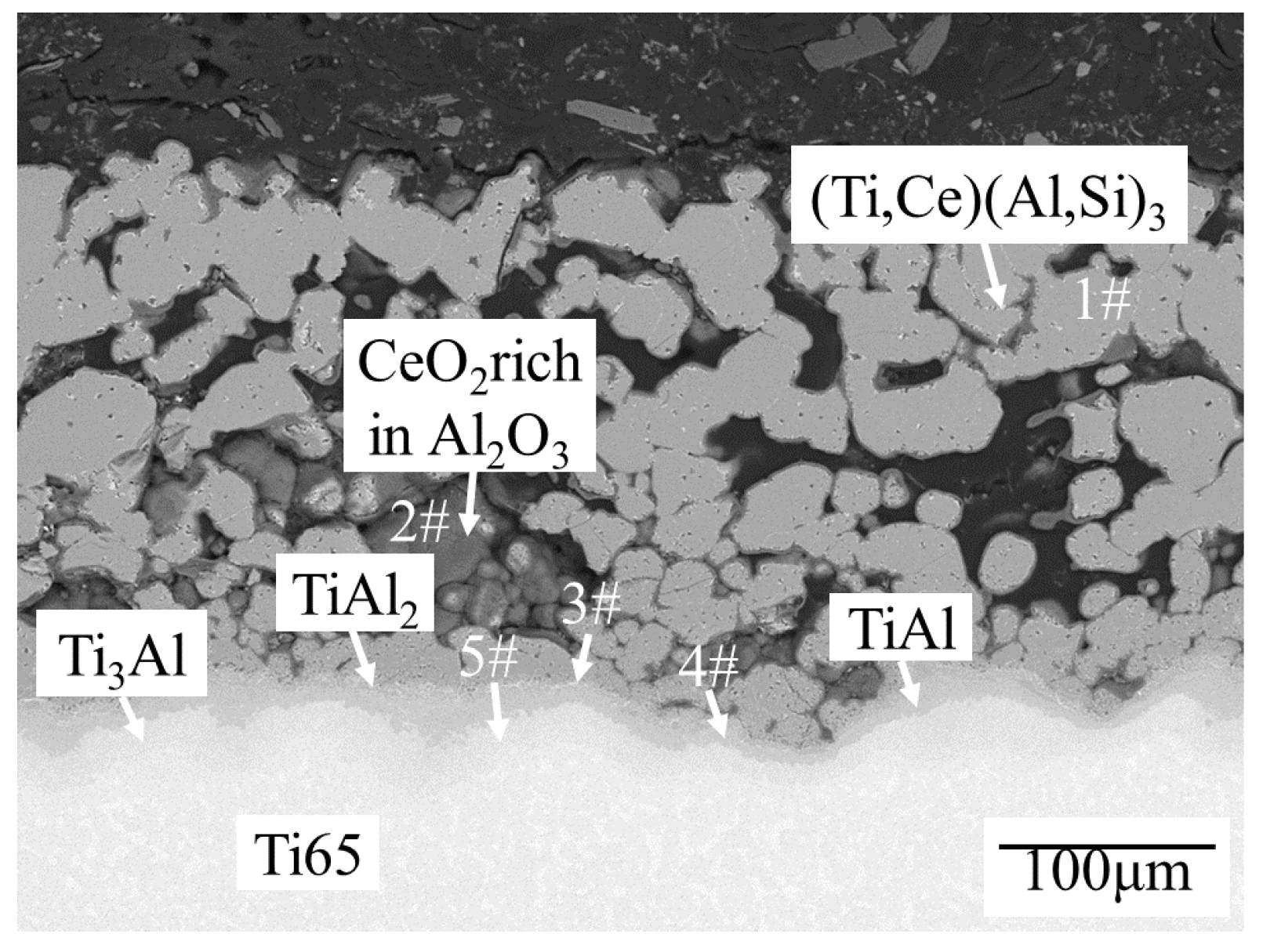 Coatings 13 01244 g004