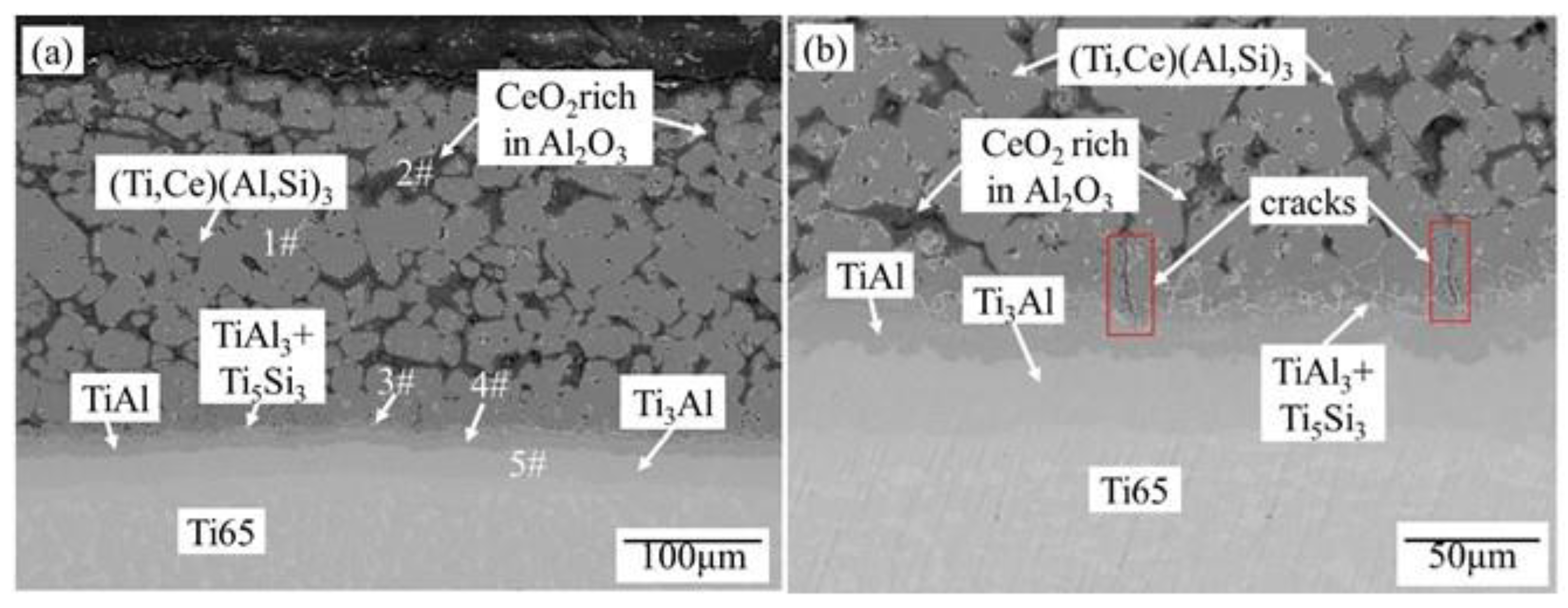 Coatings 13 01244 g005