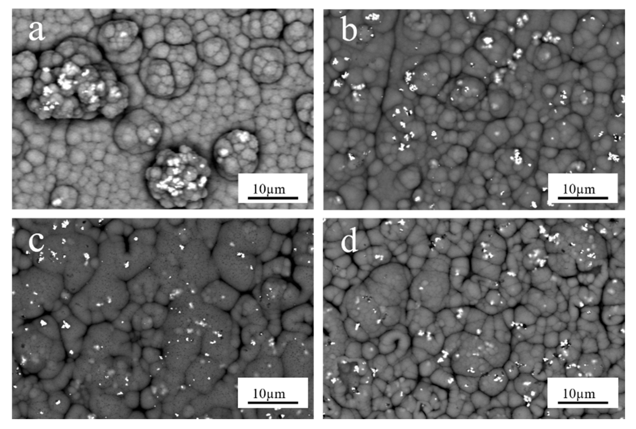 Coatings 13 01246 g005