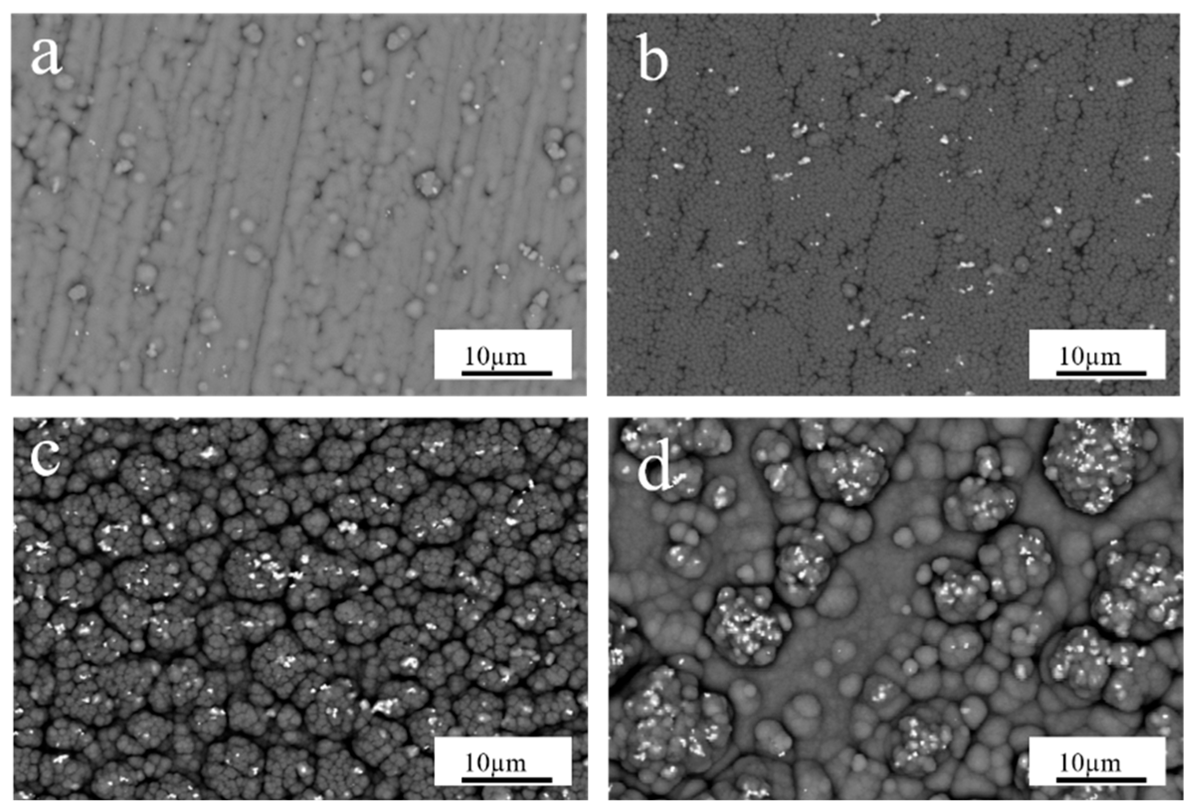 Coatings 13 01246 g009