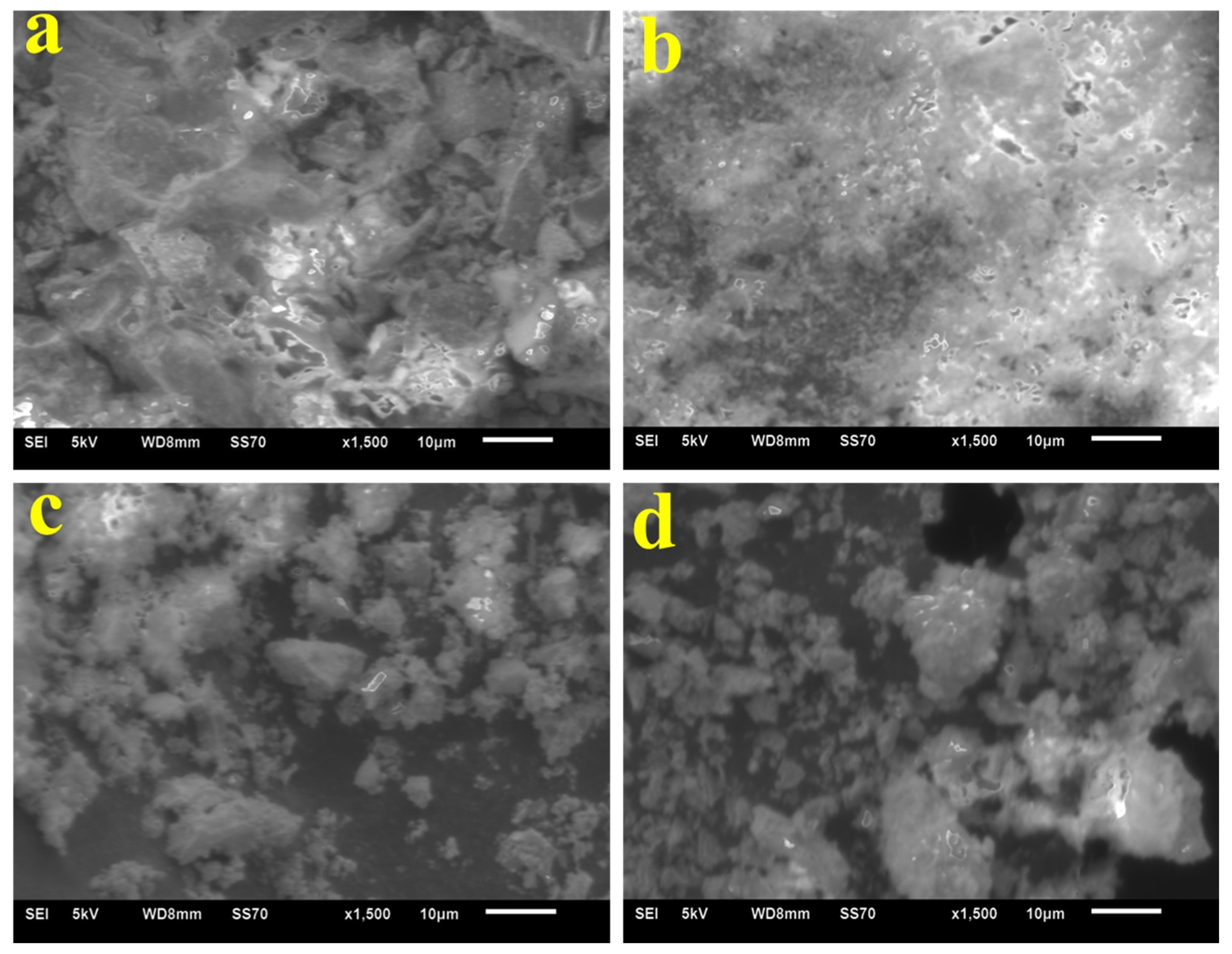 Coatings 13 01247 g010