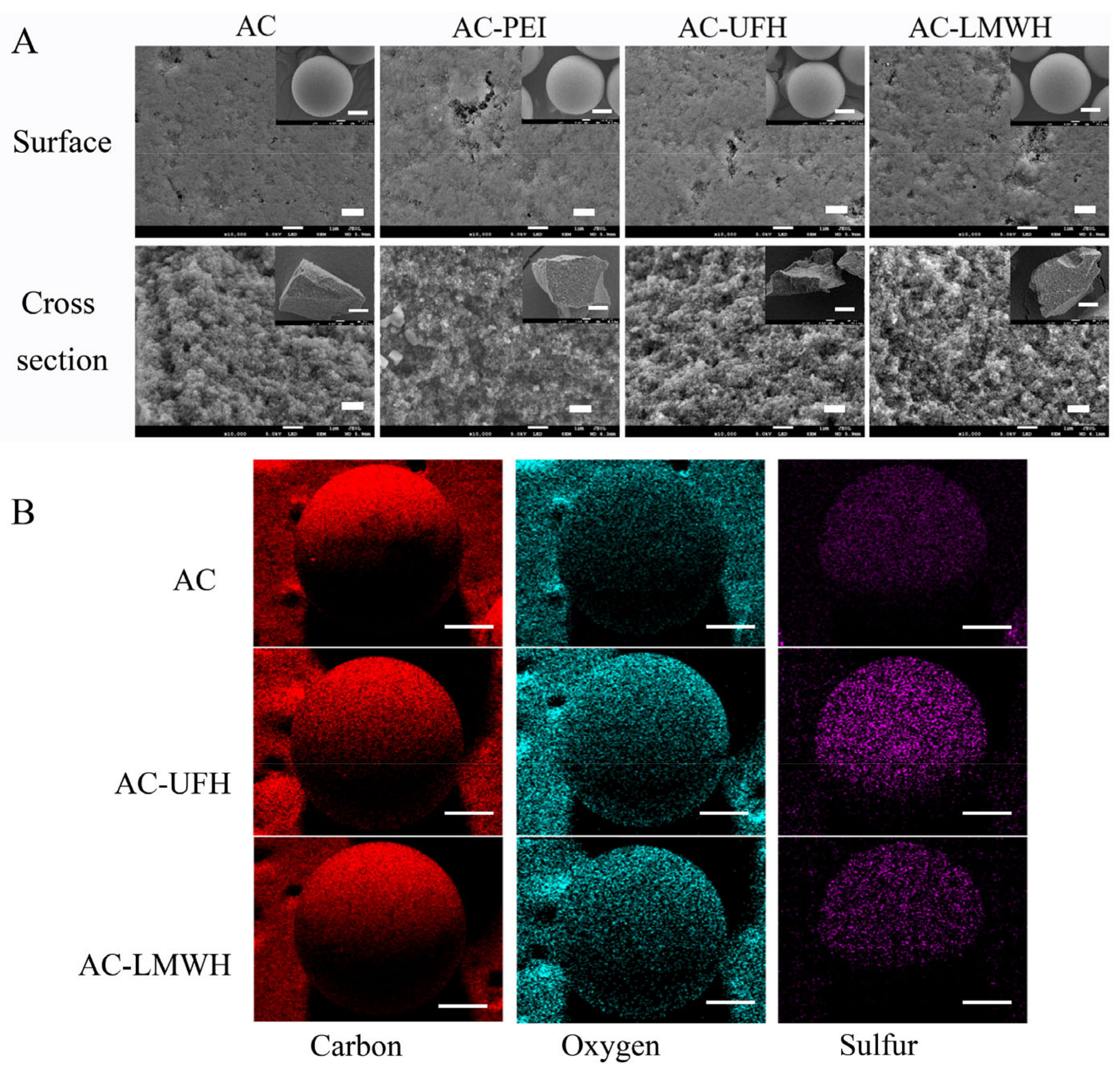 Coatings 13 01248 g002