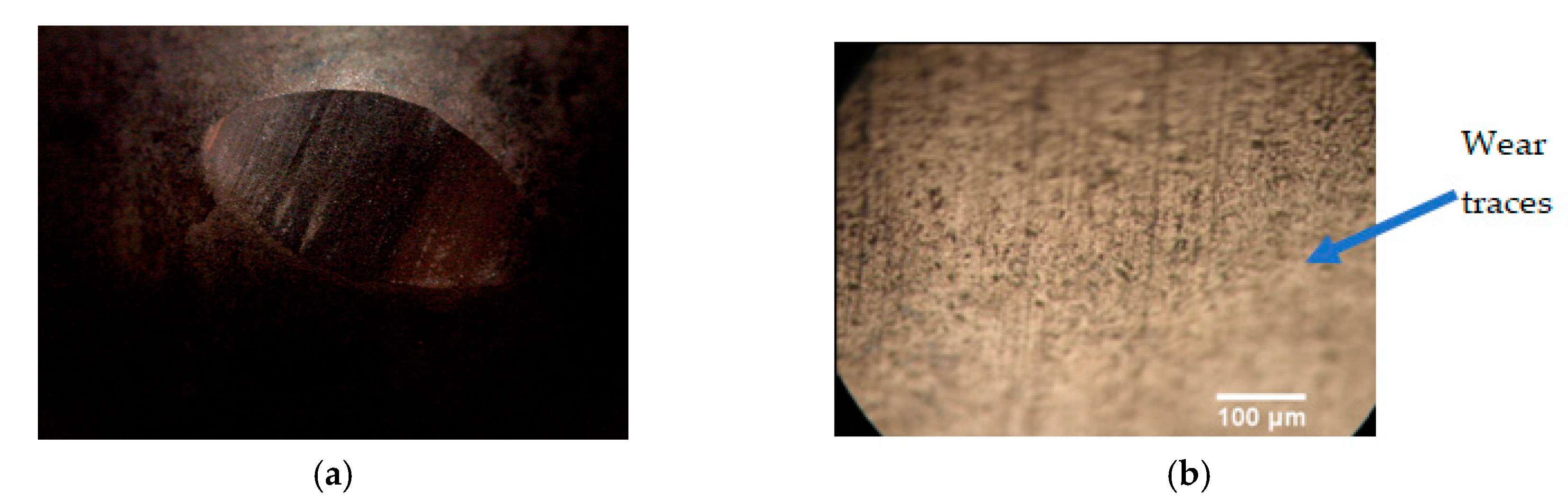 Coatings 13 01251 g014