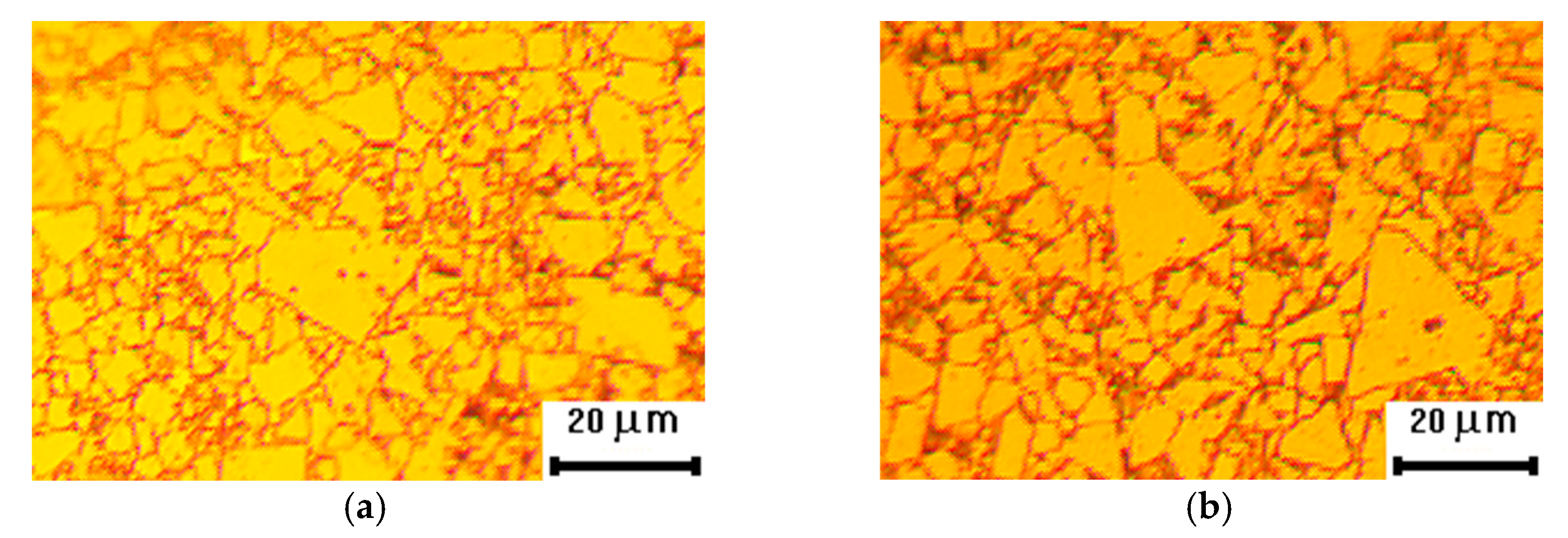 Coatings 13 01251 g020