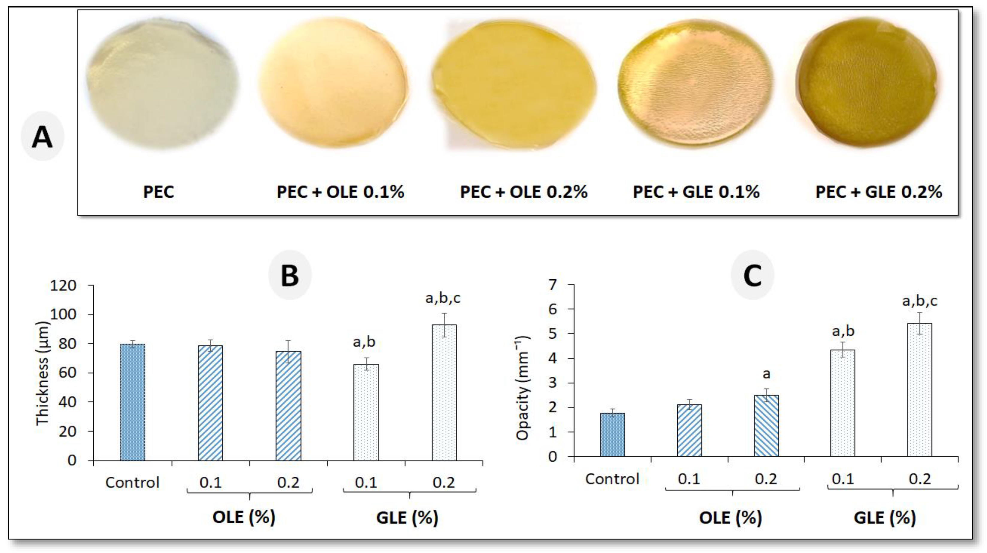 Coatings 13 01253 g001