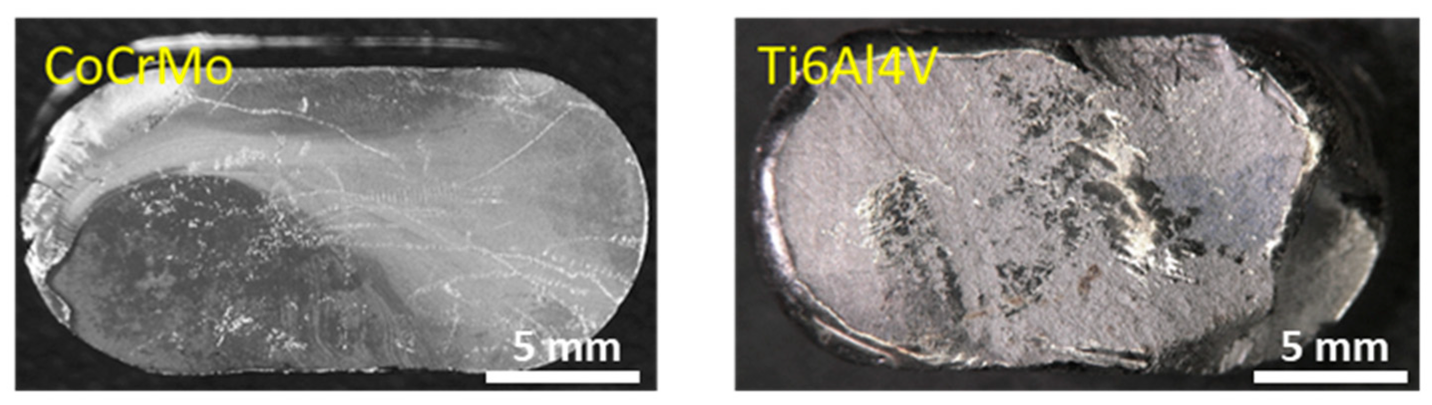 Coatings 13 01255 g003