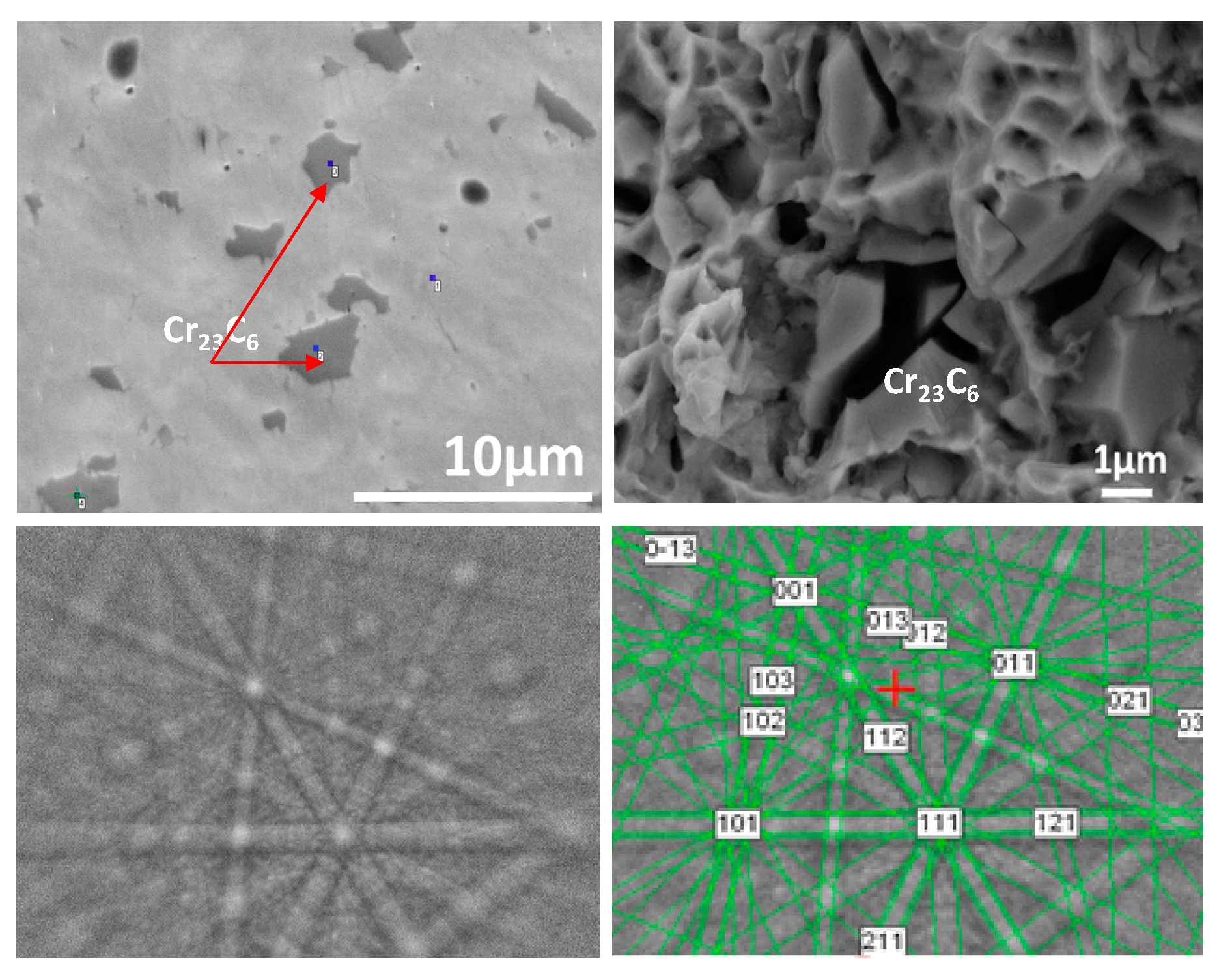 Coatings 13 01255 g005