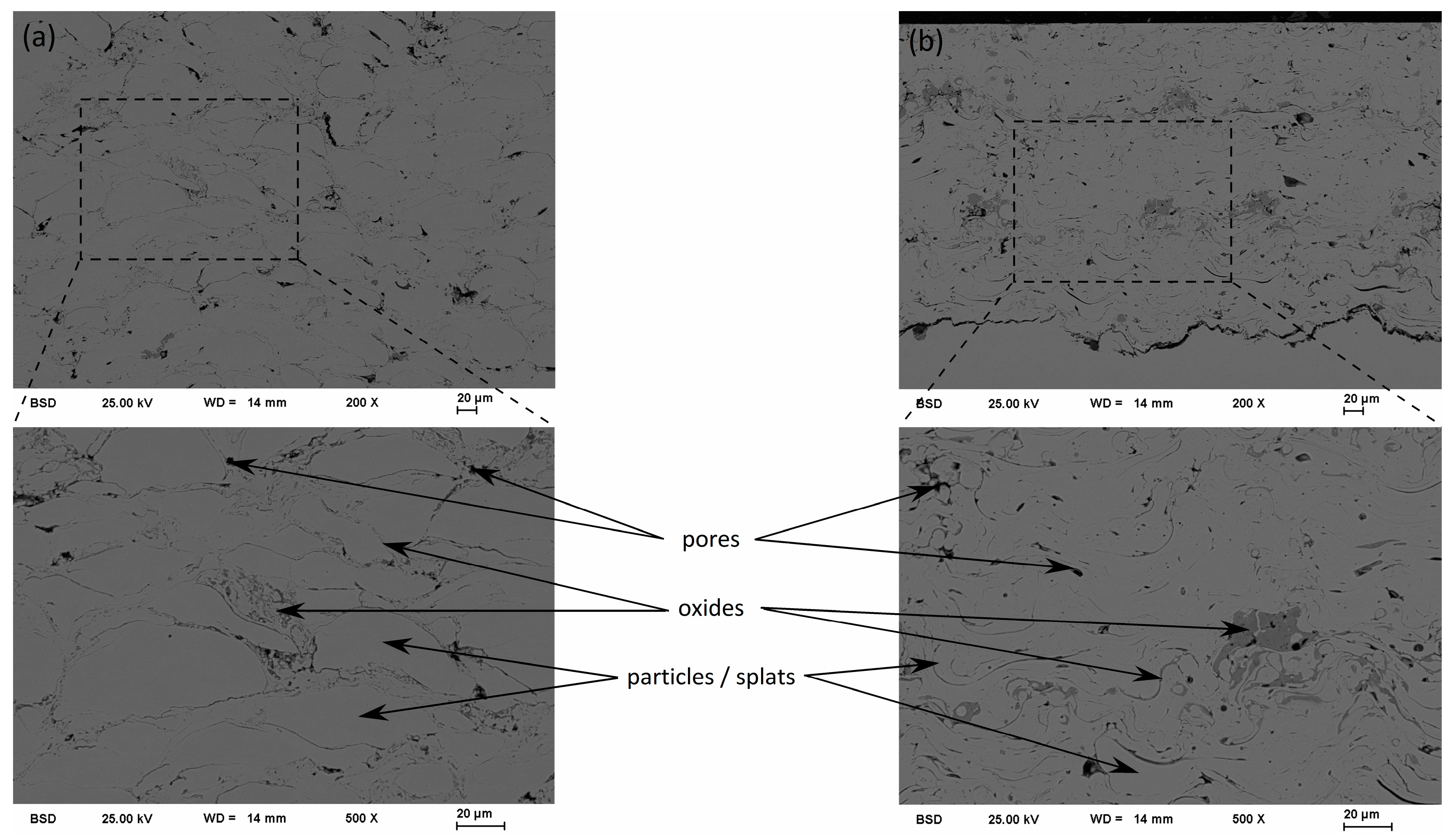 Coatings 13 01256 g004