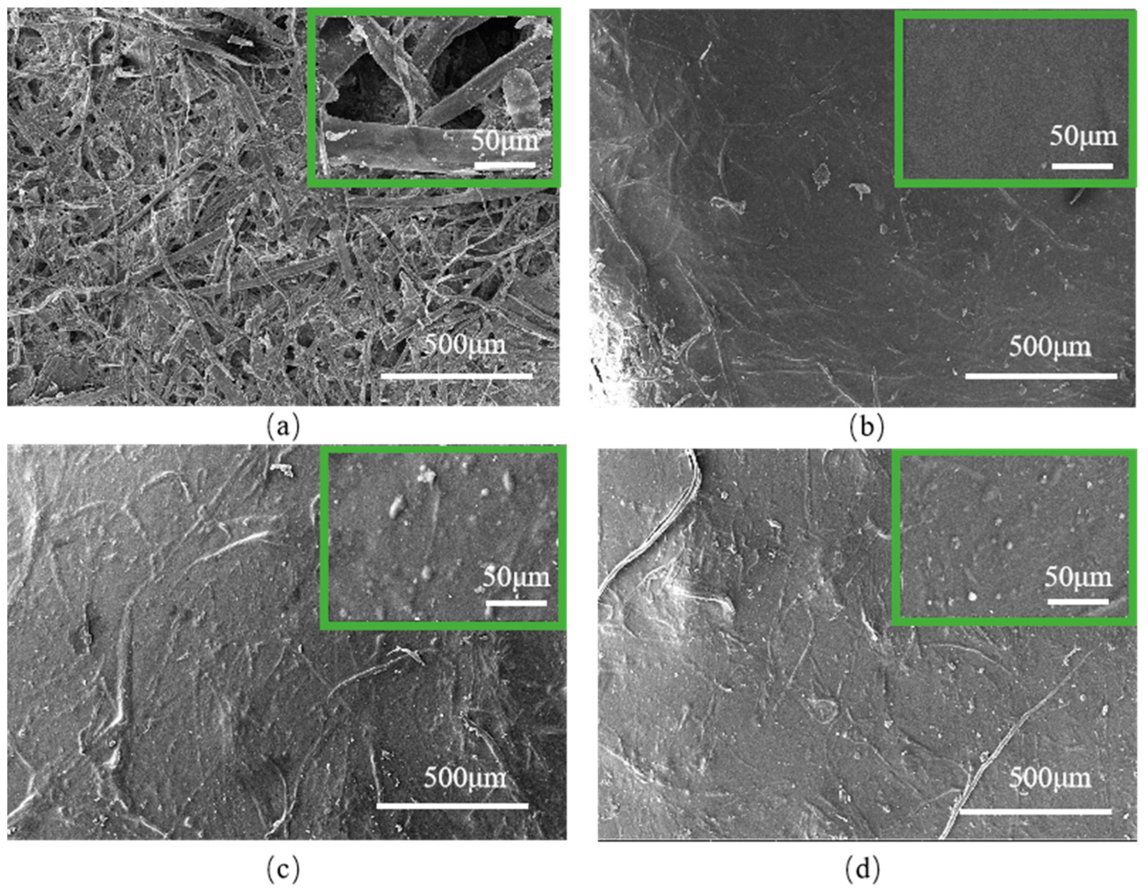 Coatings 13 01257 g002