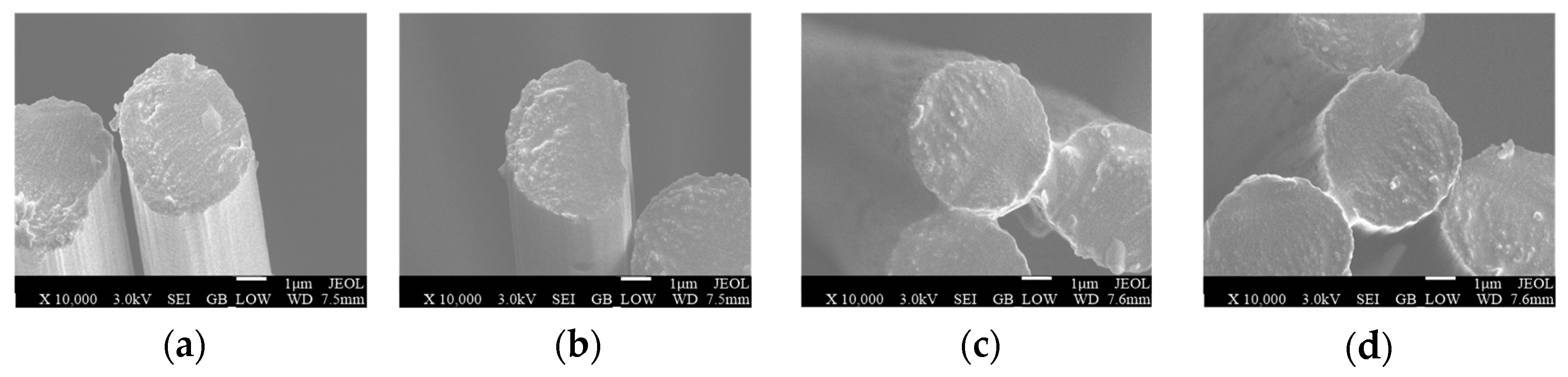 Coatings 13 01259 g004 Coatings 13 01259 g004