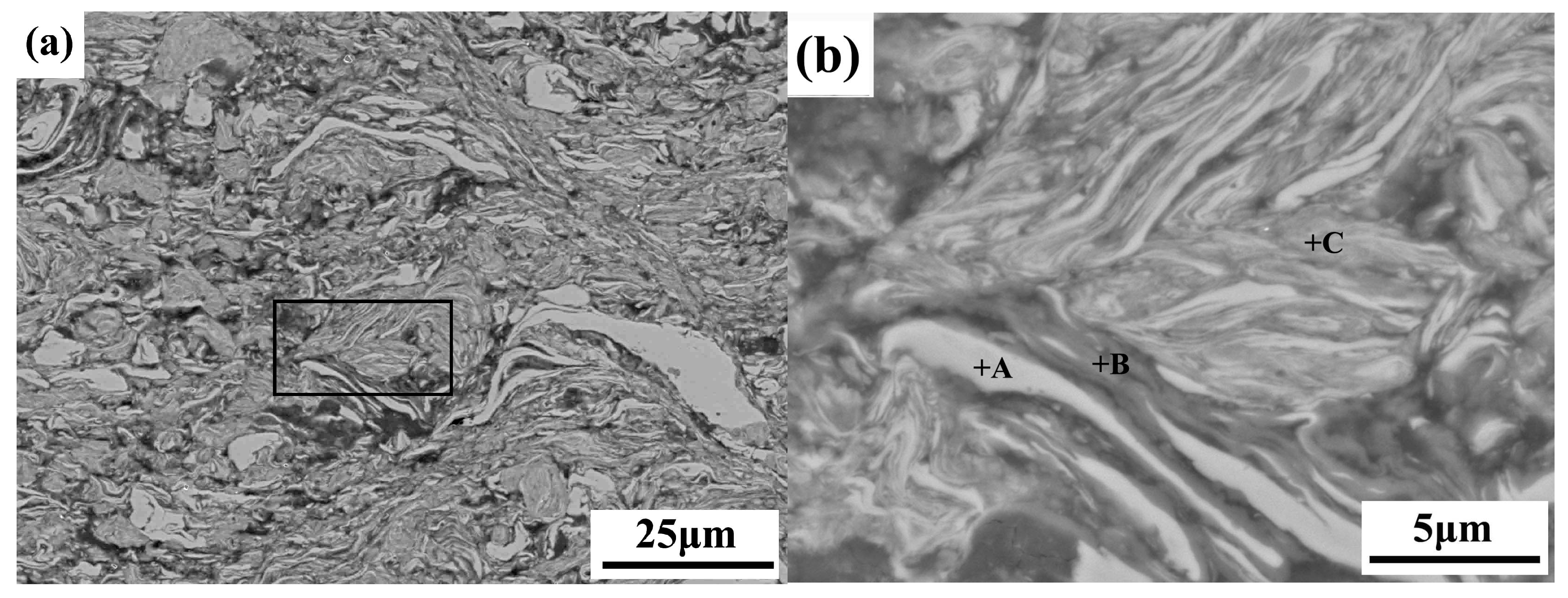 Coatings 13 01260 g002