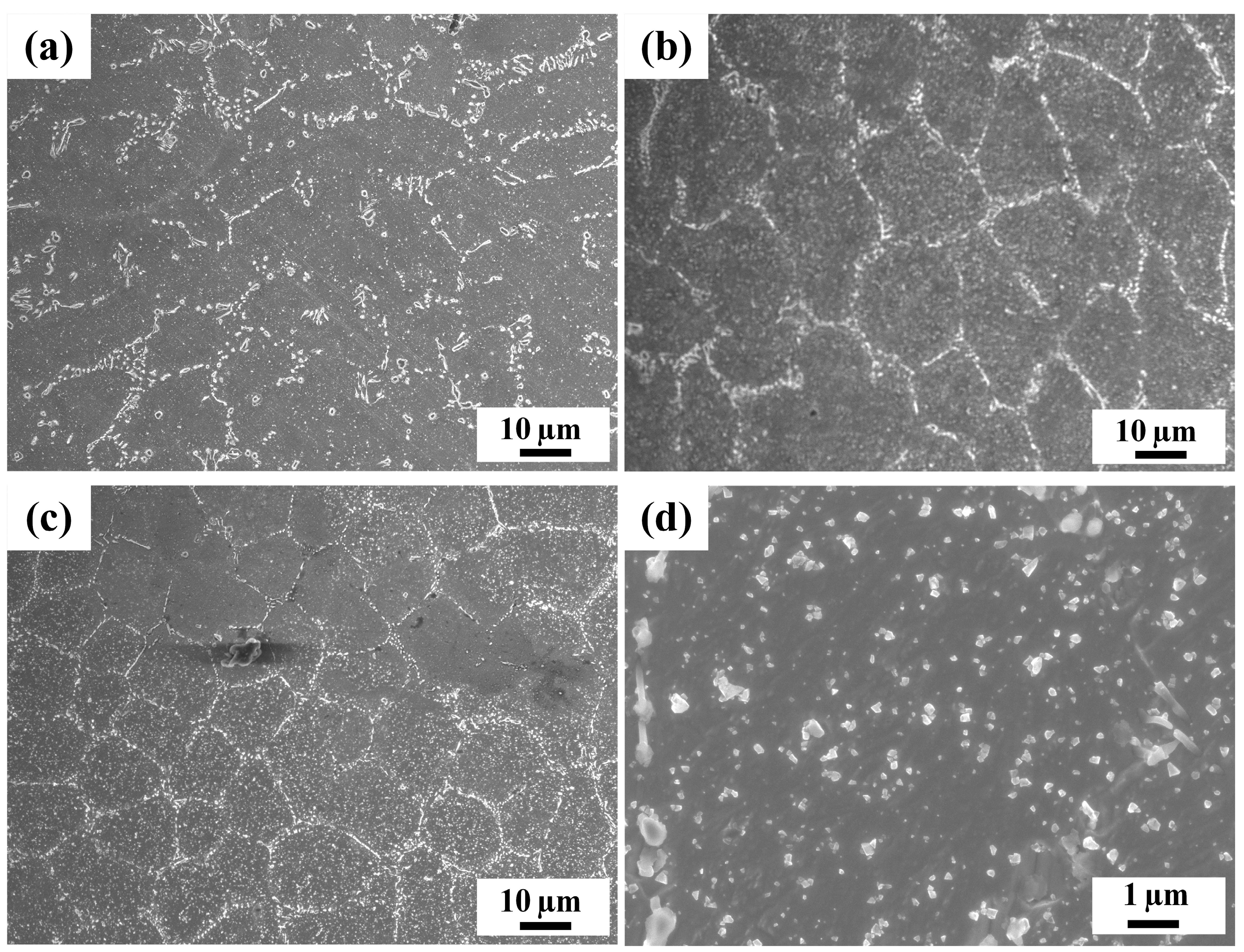 Coatings 13 01263 g004