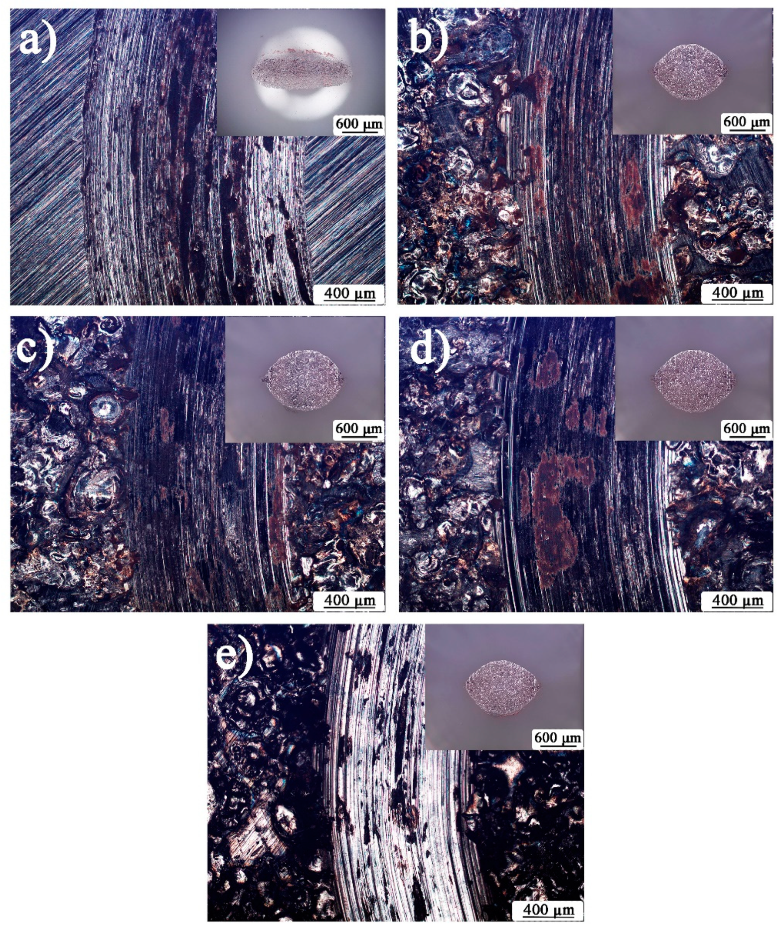 Coatings 13 01264 g008