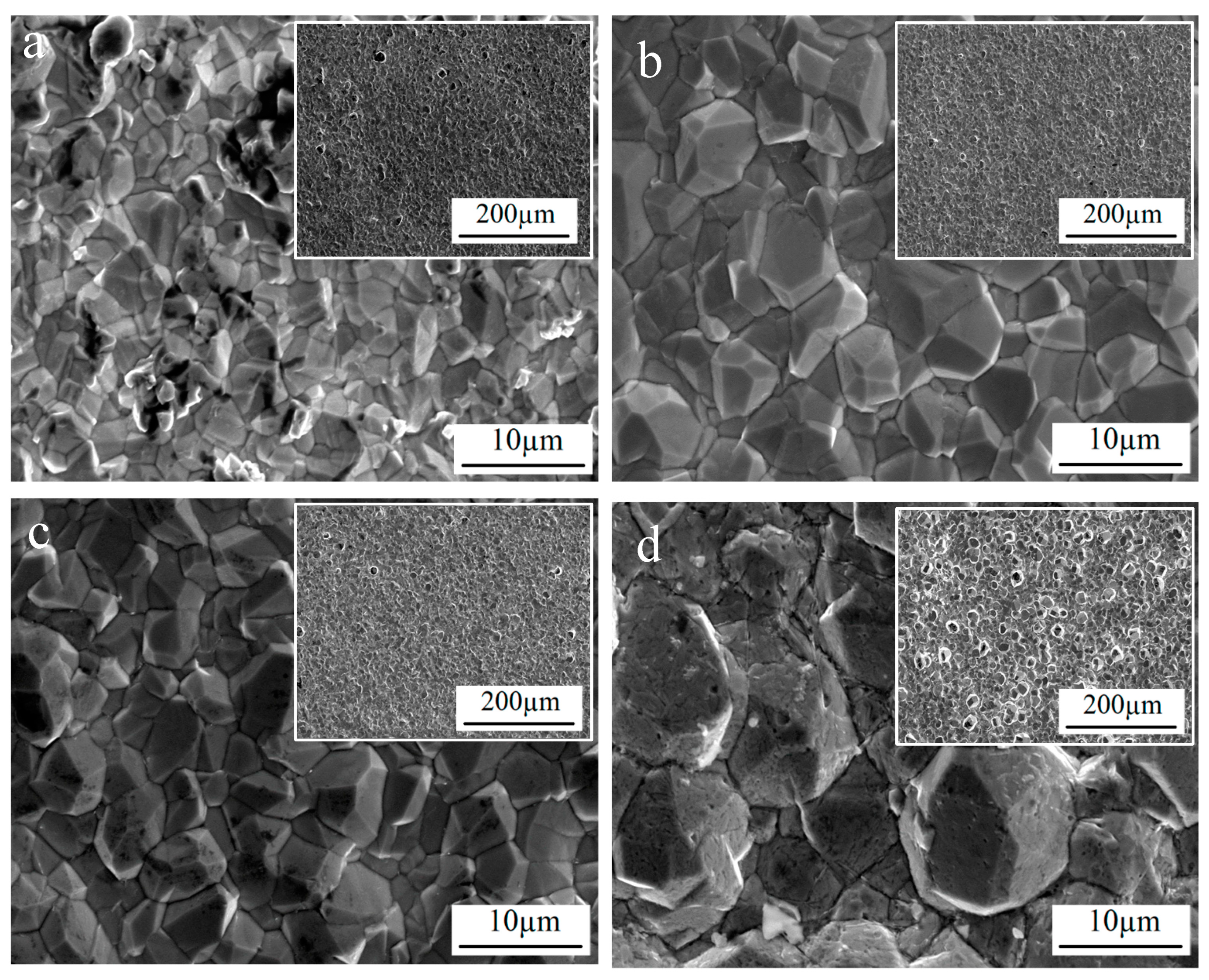 Coatings 13 01266 g003