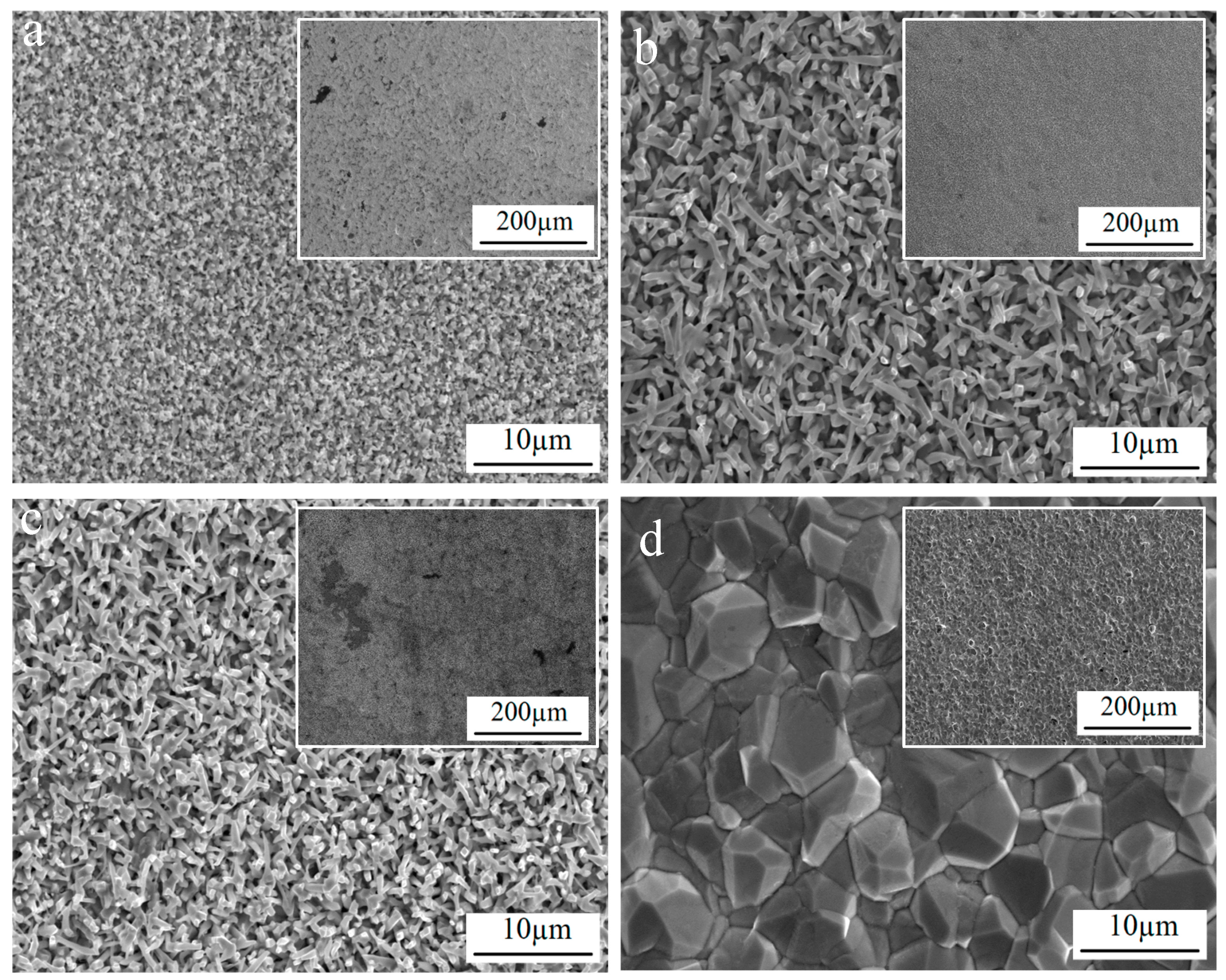 Coatings 13 01266 g005