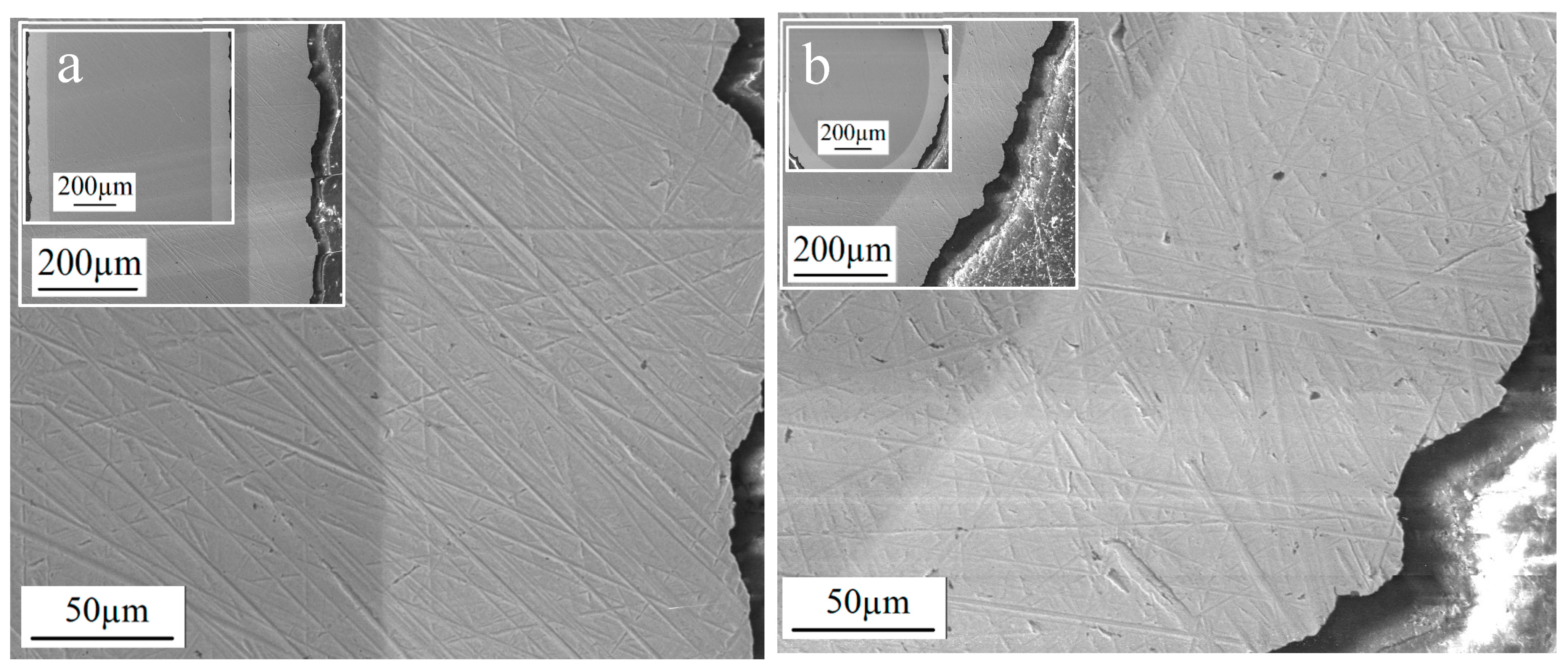 Coatings 13 01266 g007
