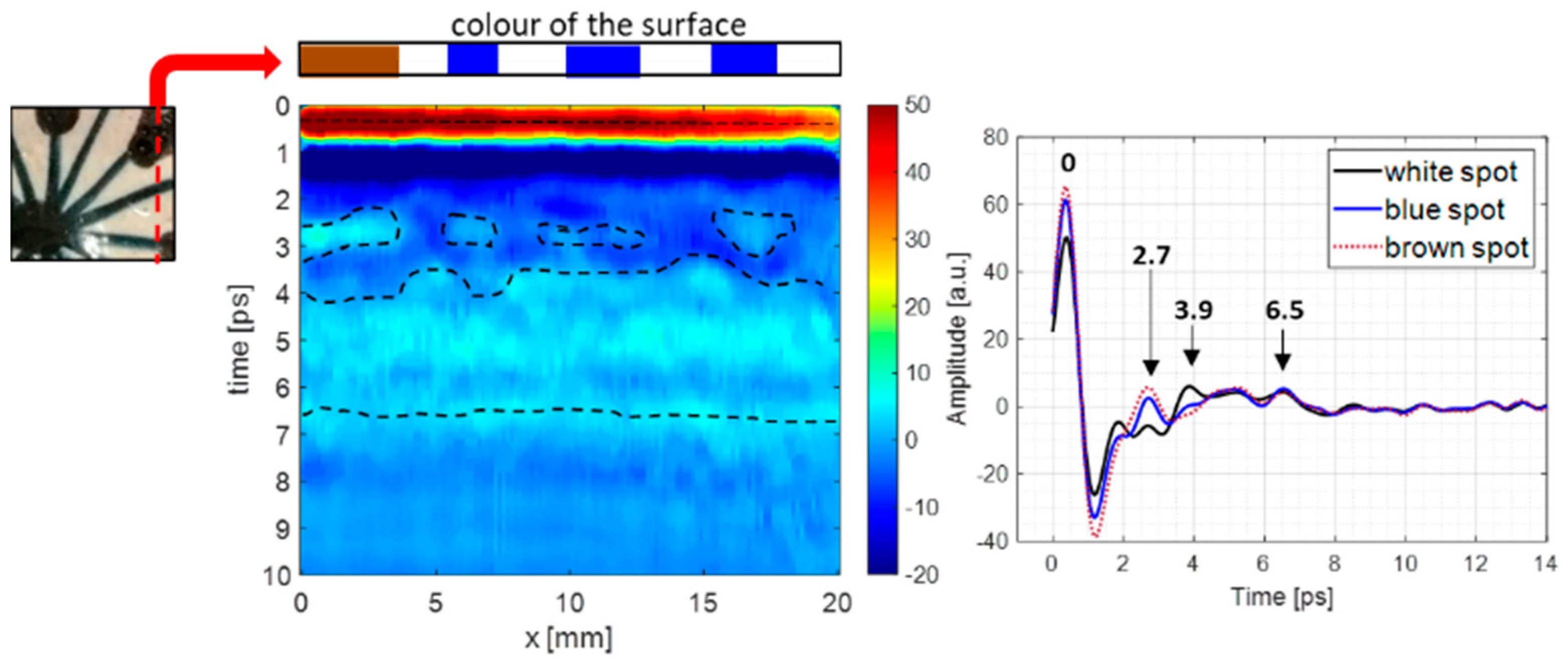 Coatings 13 01268 g007 Coatings 13 01268 g007