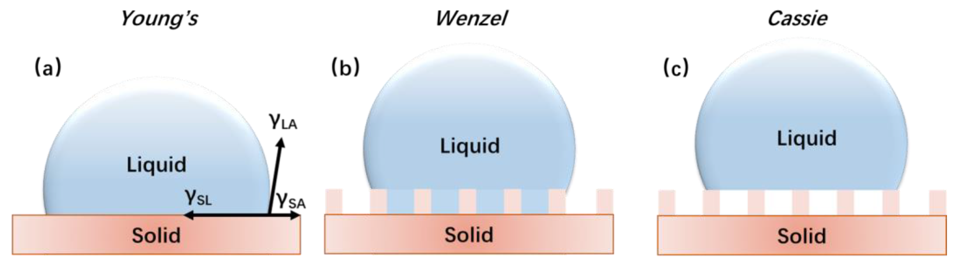 Coatings 13 01270 g001