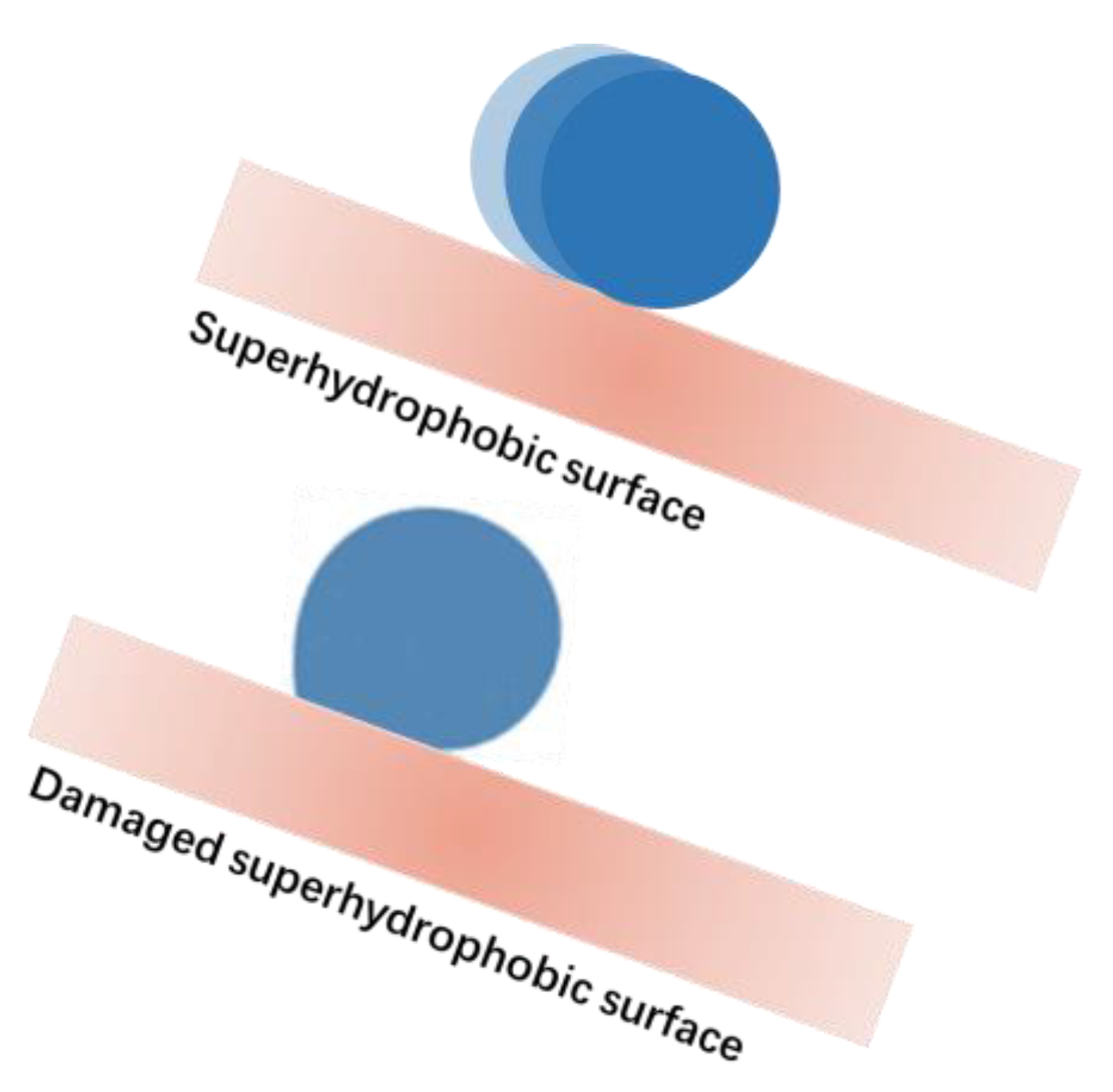 Coatings 13 01270 g007