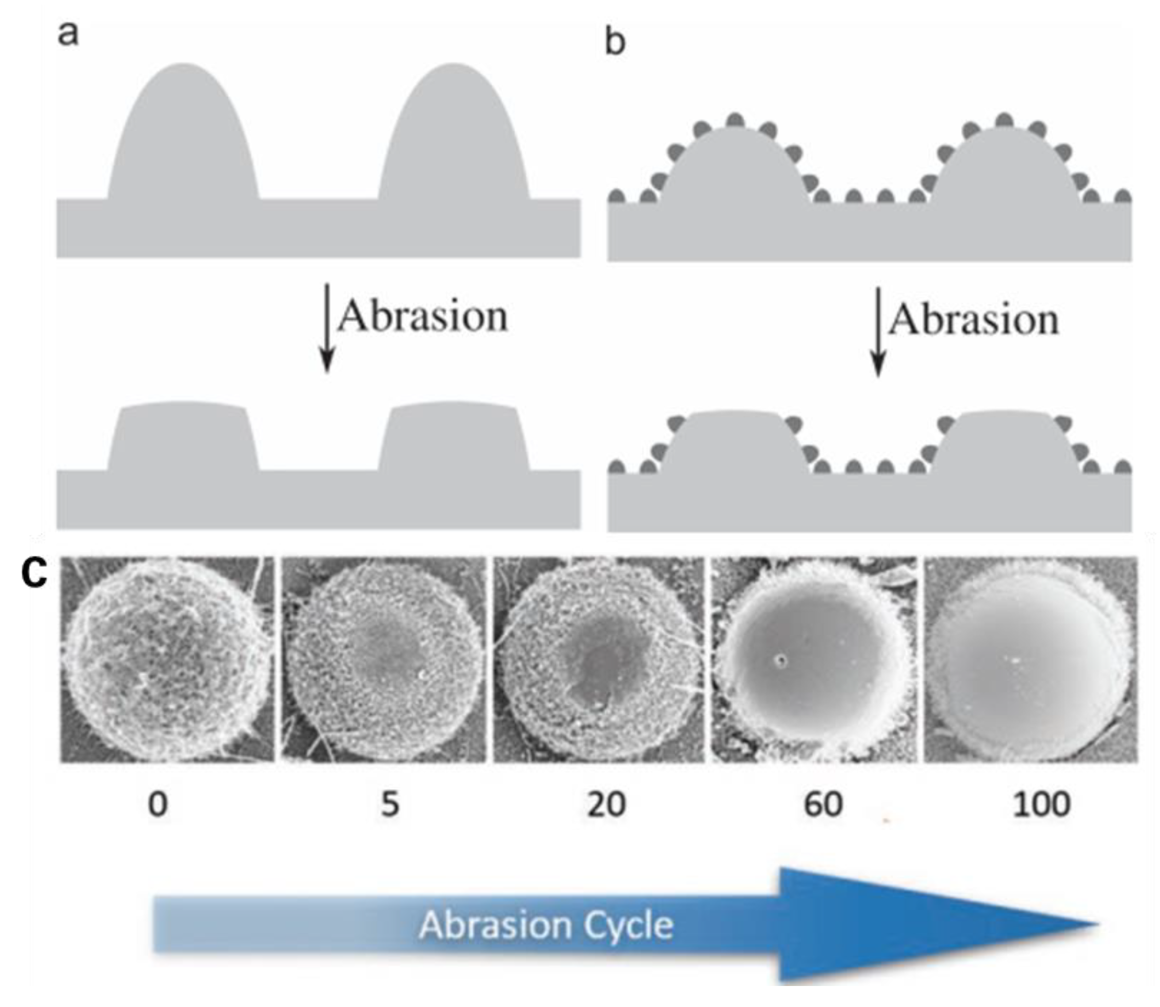 Coatings 13 01270 g008