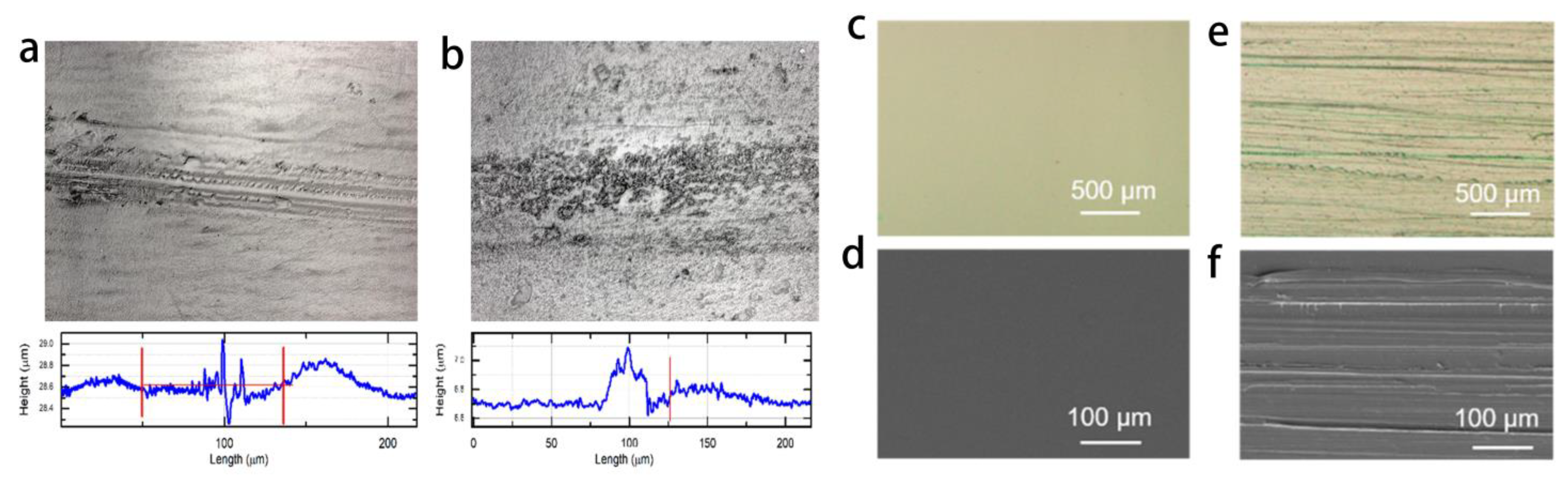 Coatings 13 01270 g009
