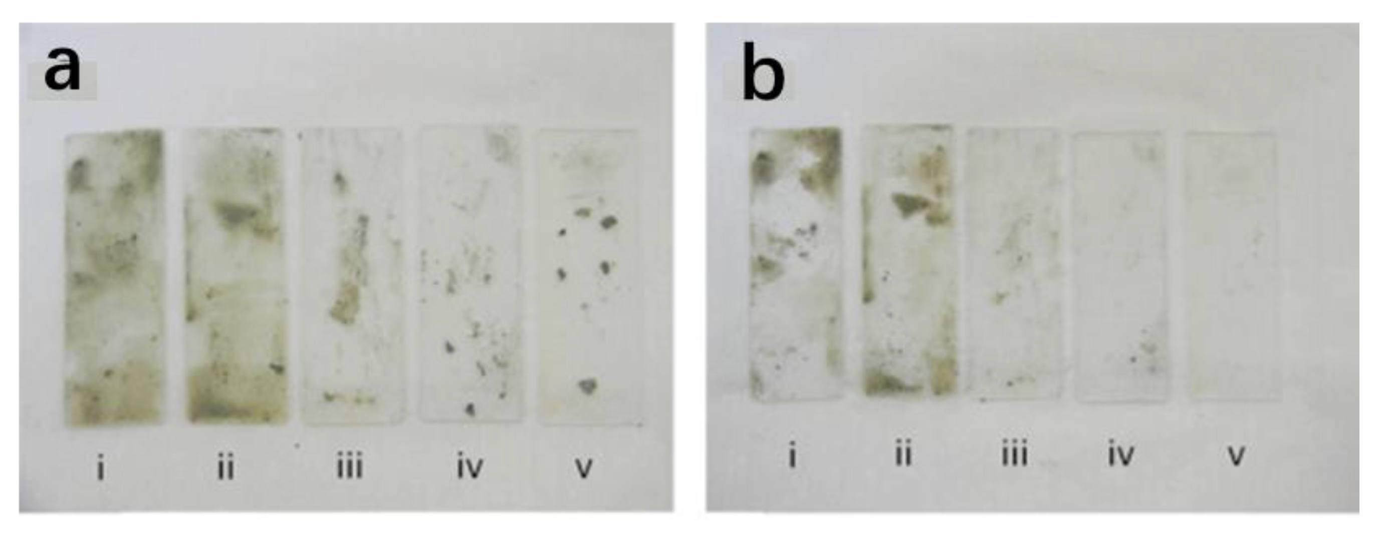 Coatings 13 01270 g013
