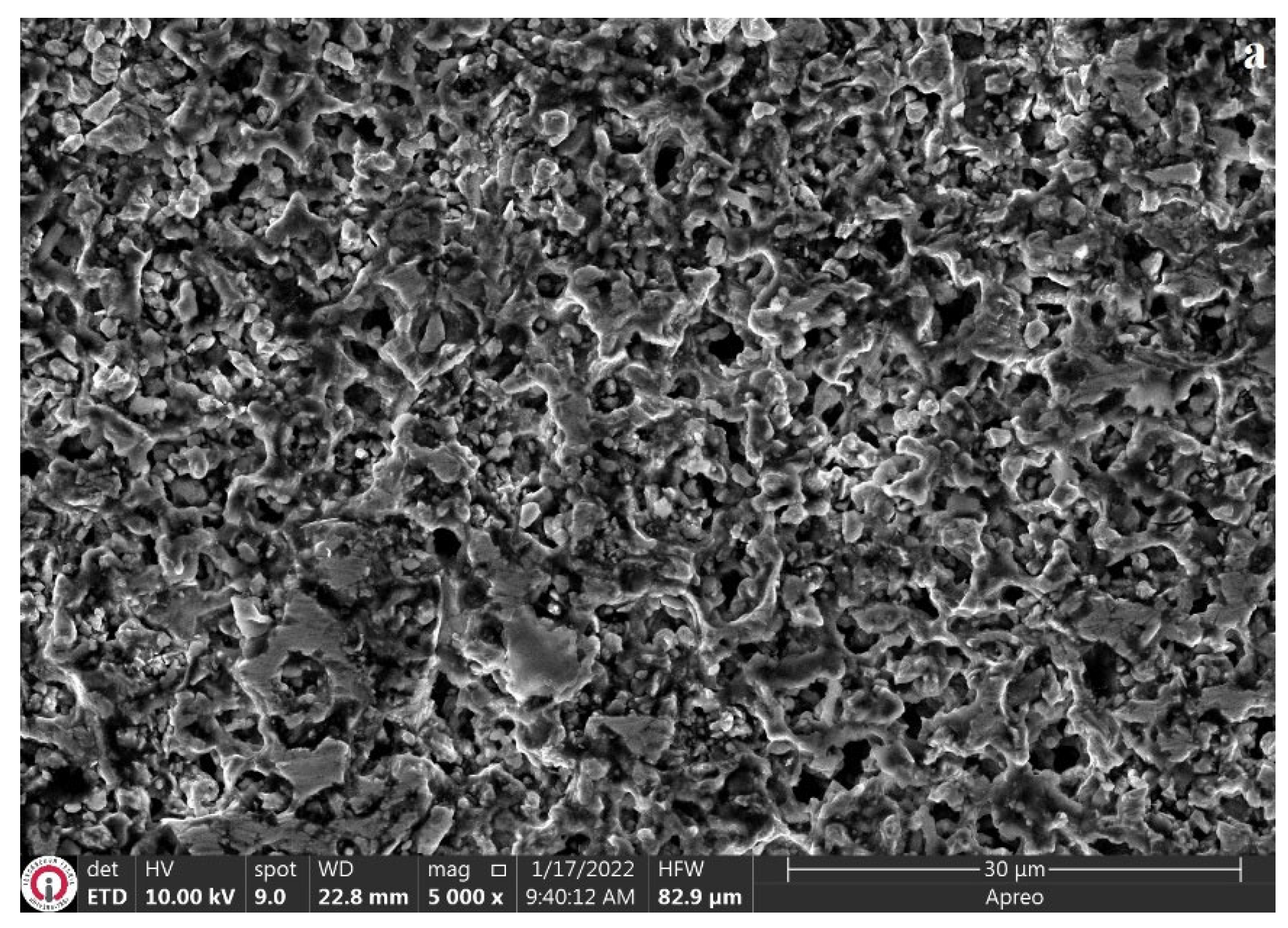 Coatings 13 01272 g006a Coatings 13 01272 g006a