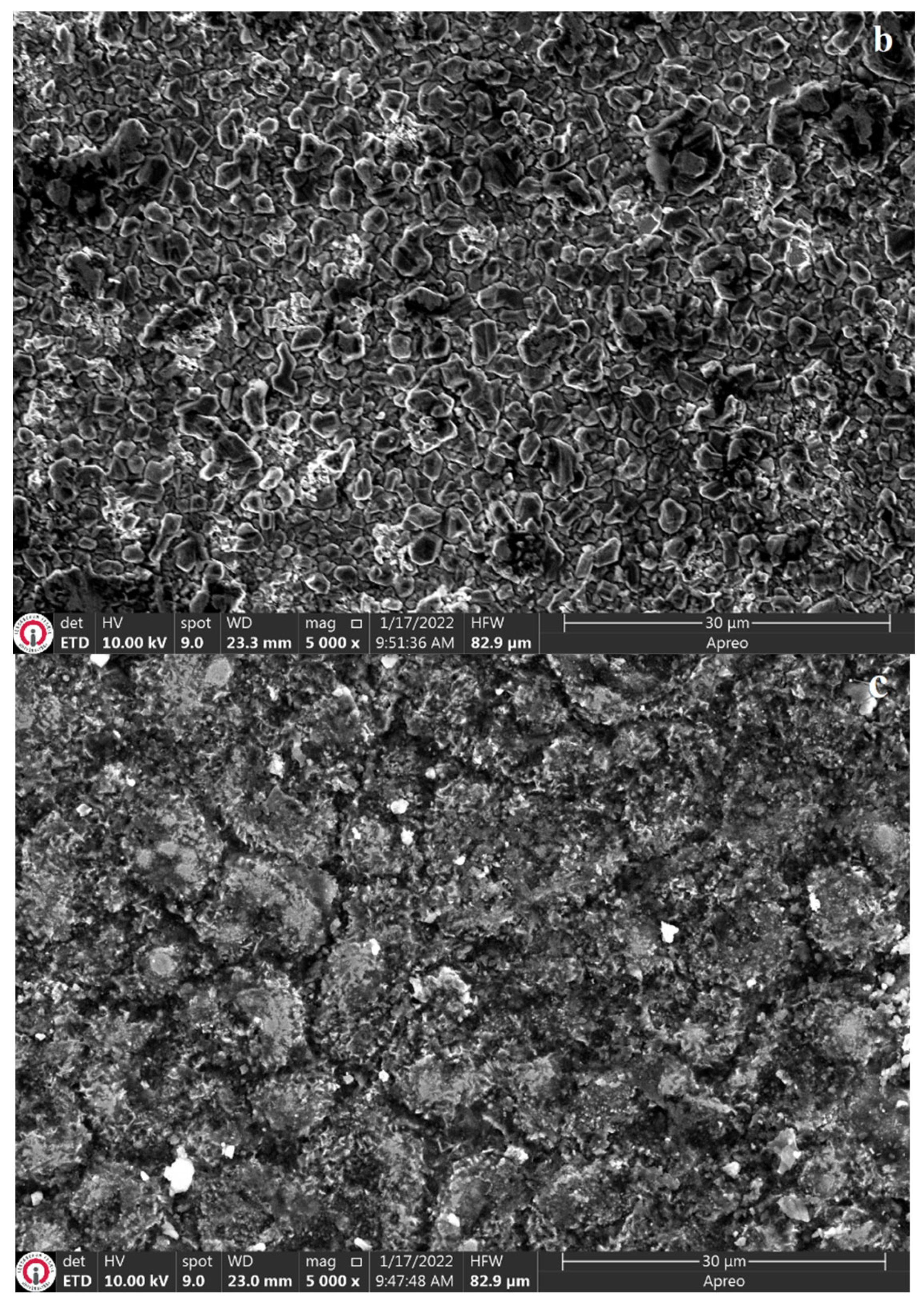 Coatings 13 01272 g006b Coatings 13 01272 g006b