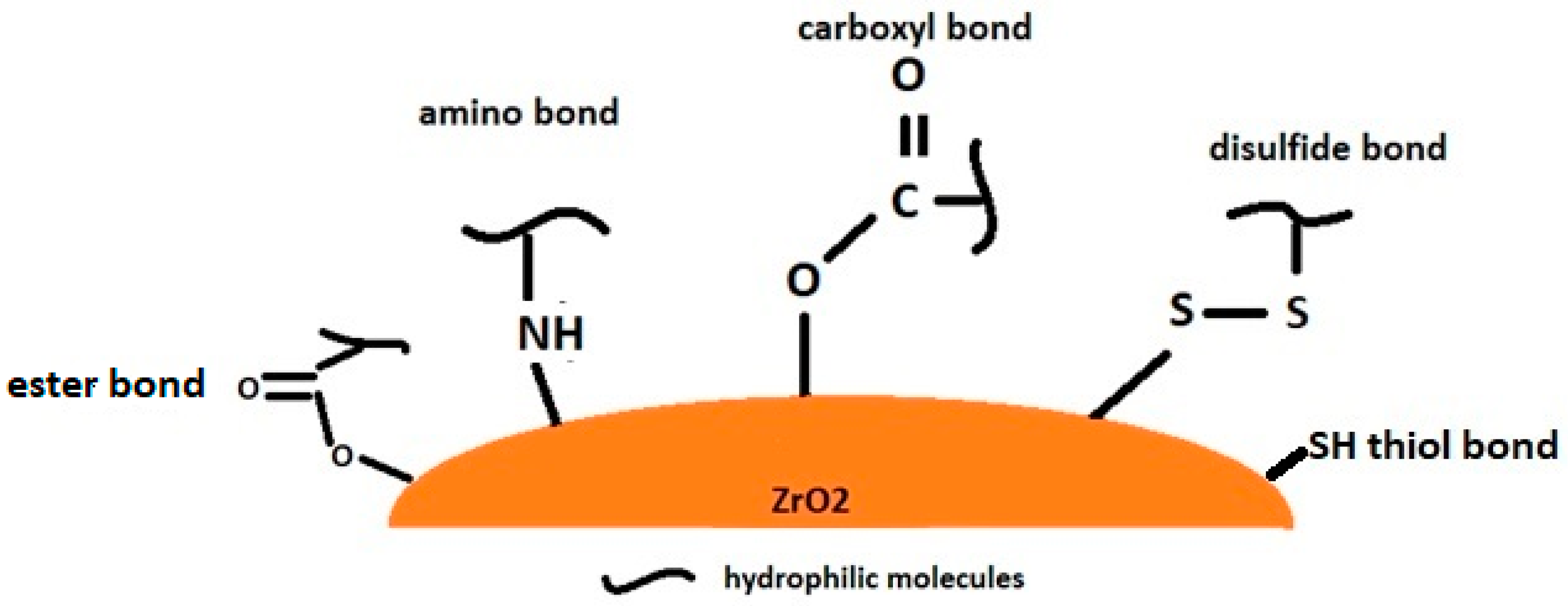 Coatings 13 01273 g001