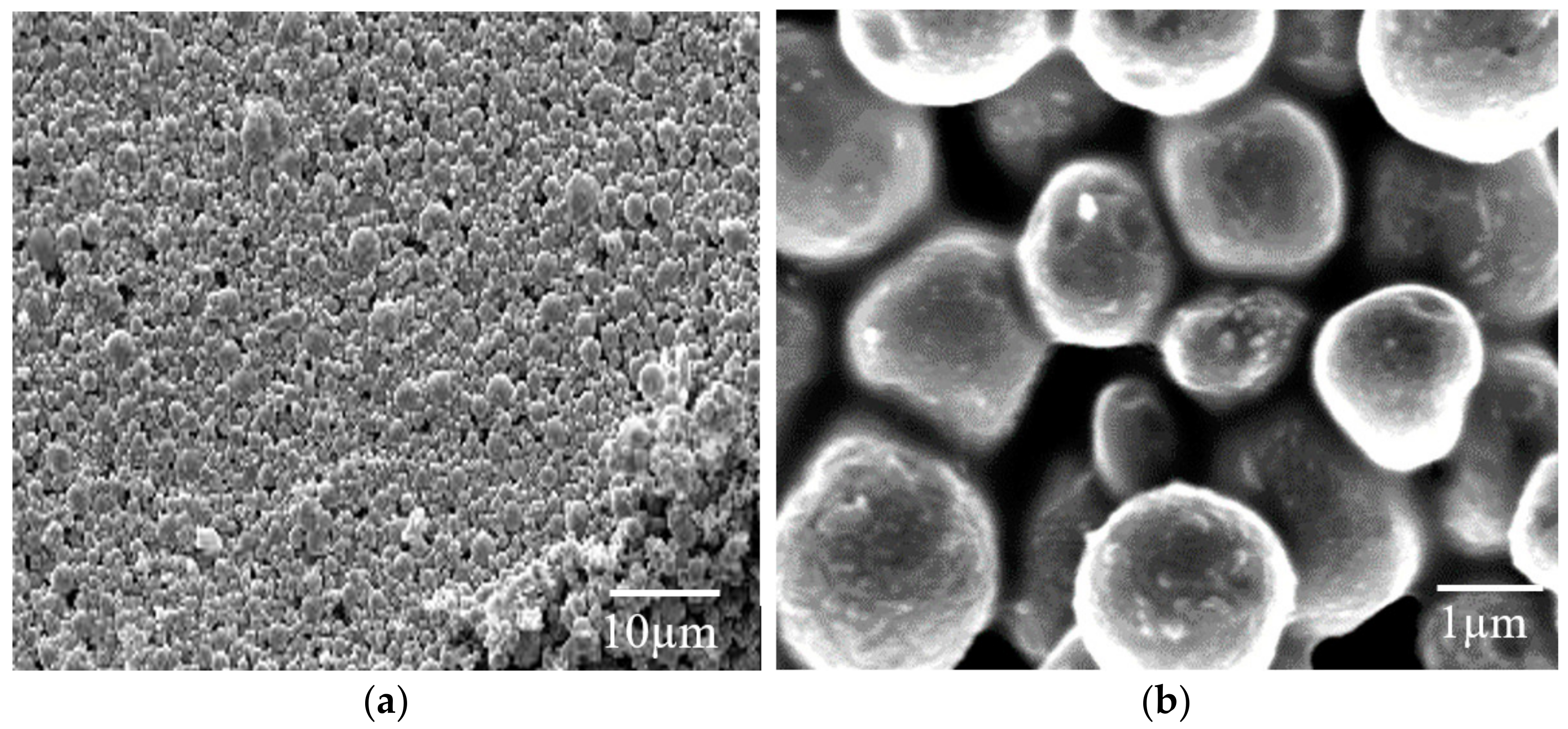 Coatings 13 01276 g024a