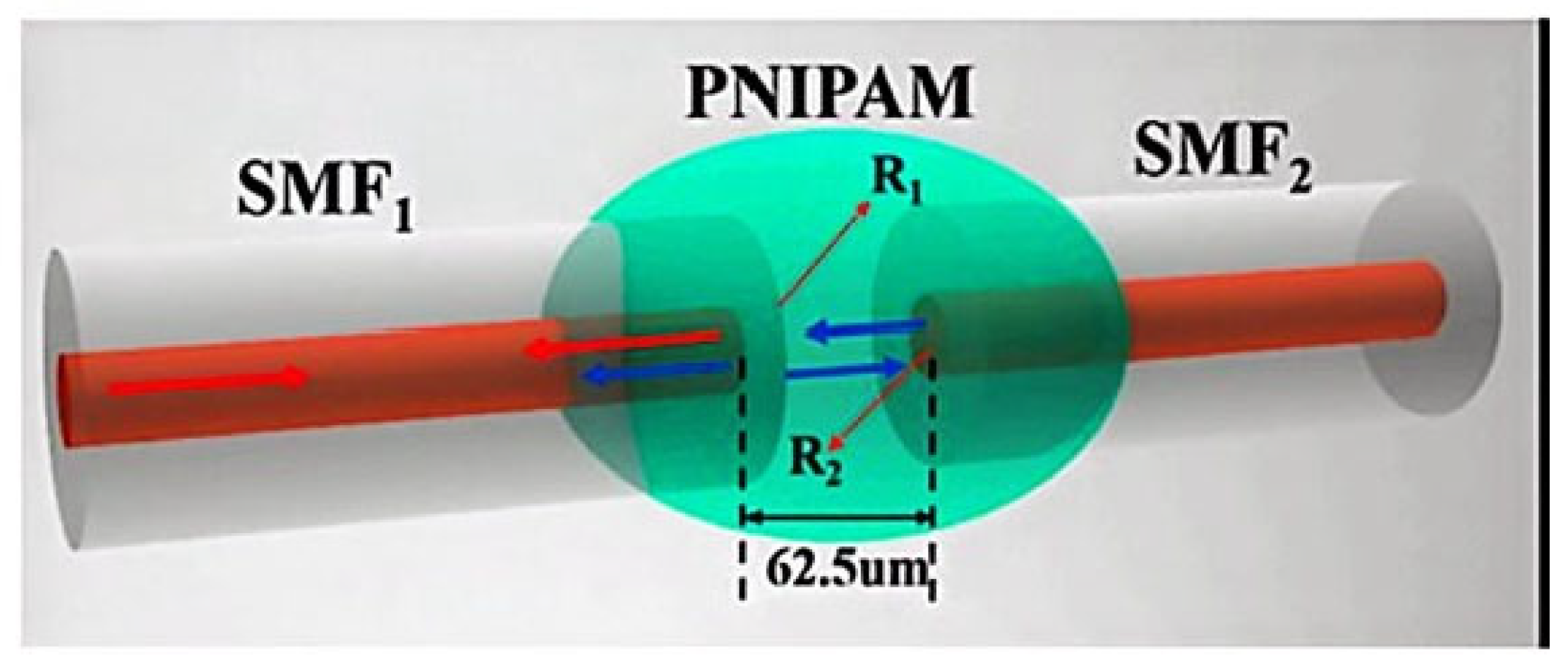 Coatings 13 01277 g006