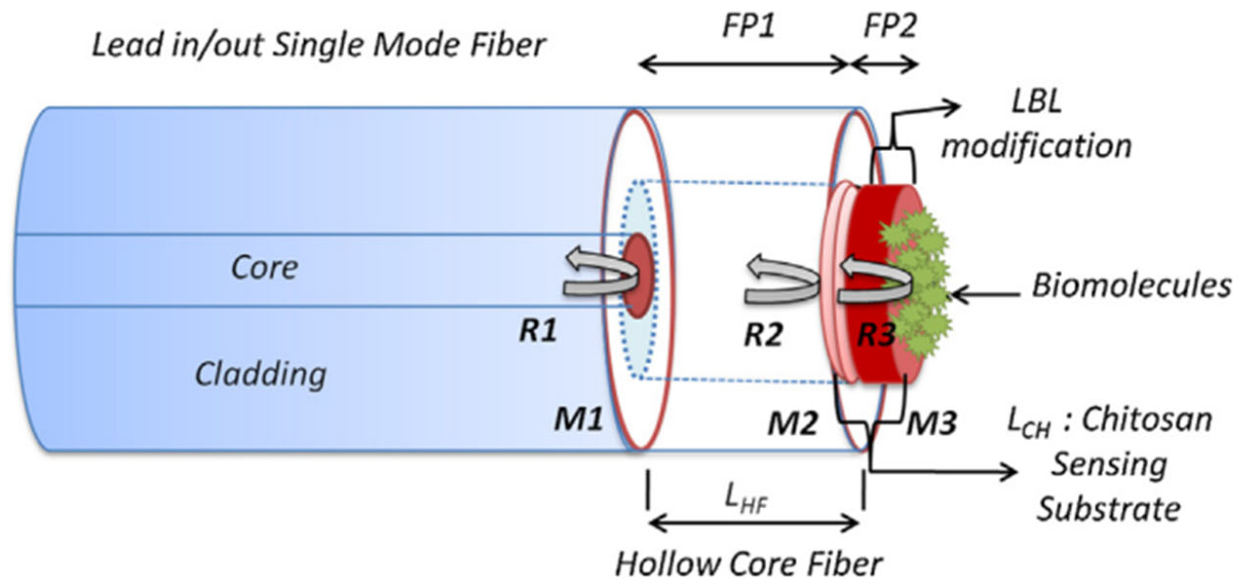 Coatings 13 01277 g009