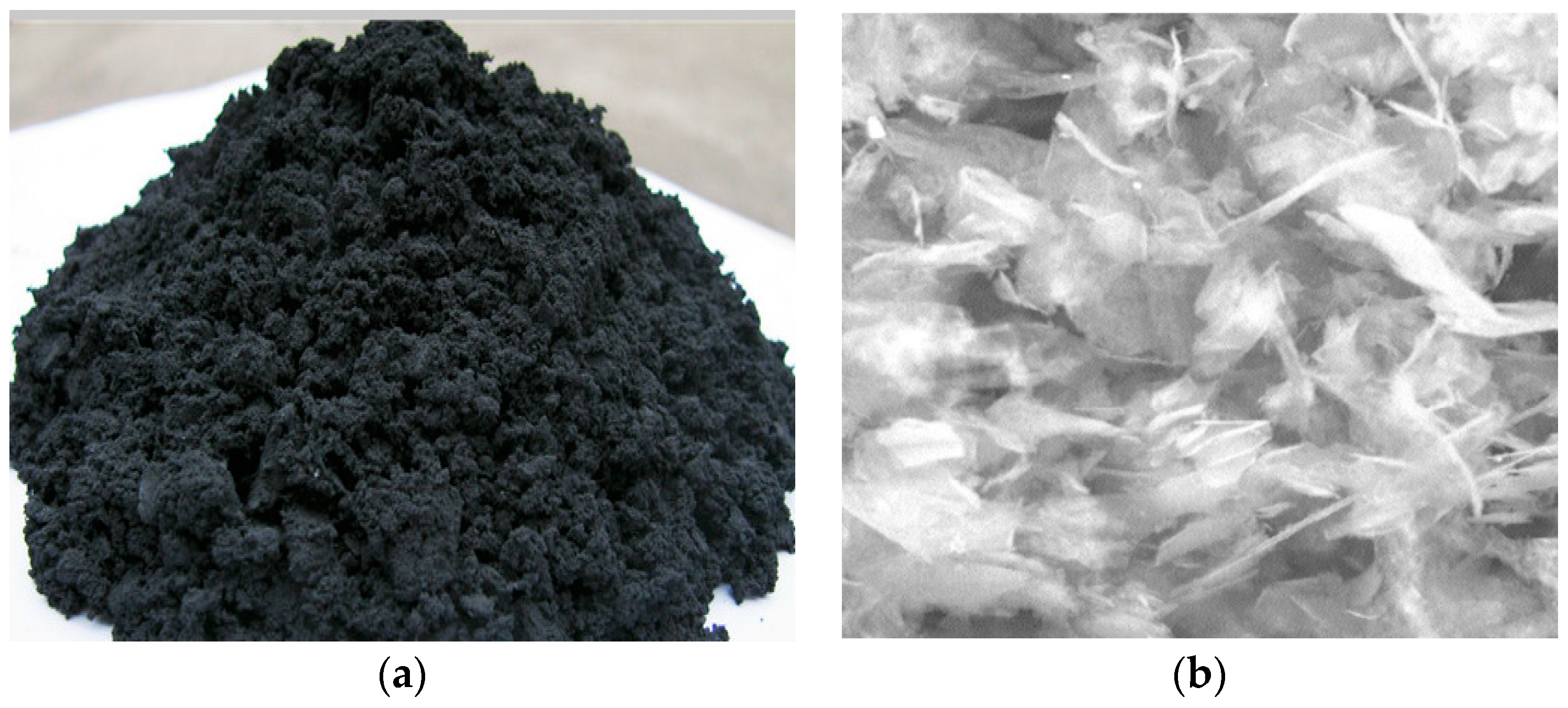 Coatings 13 01279 g003