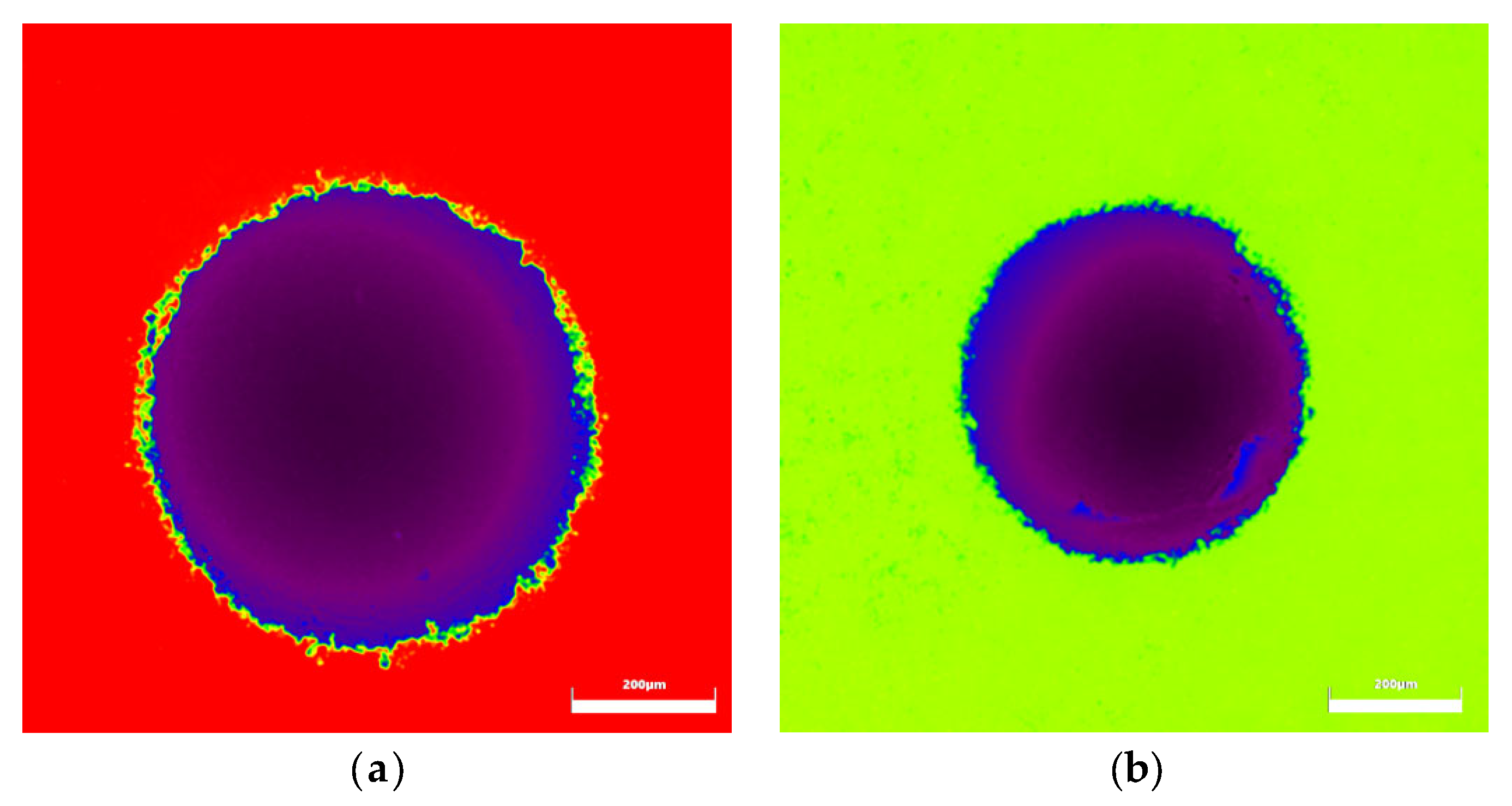 Coatings 13 01280 g008