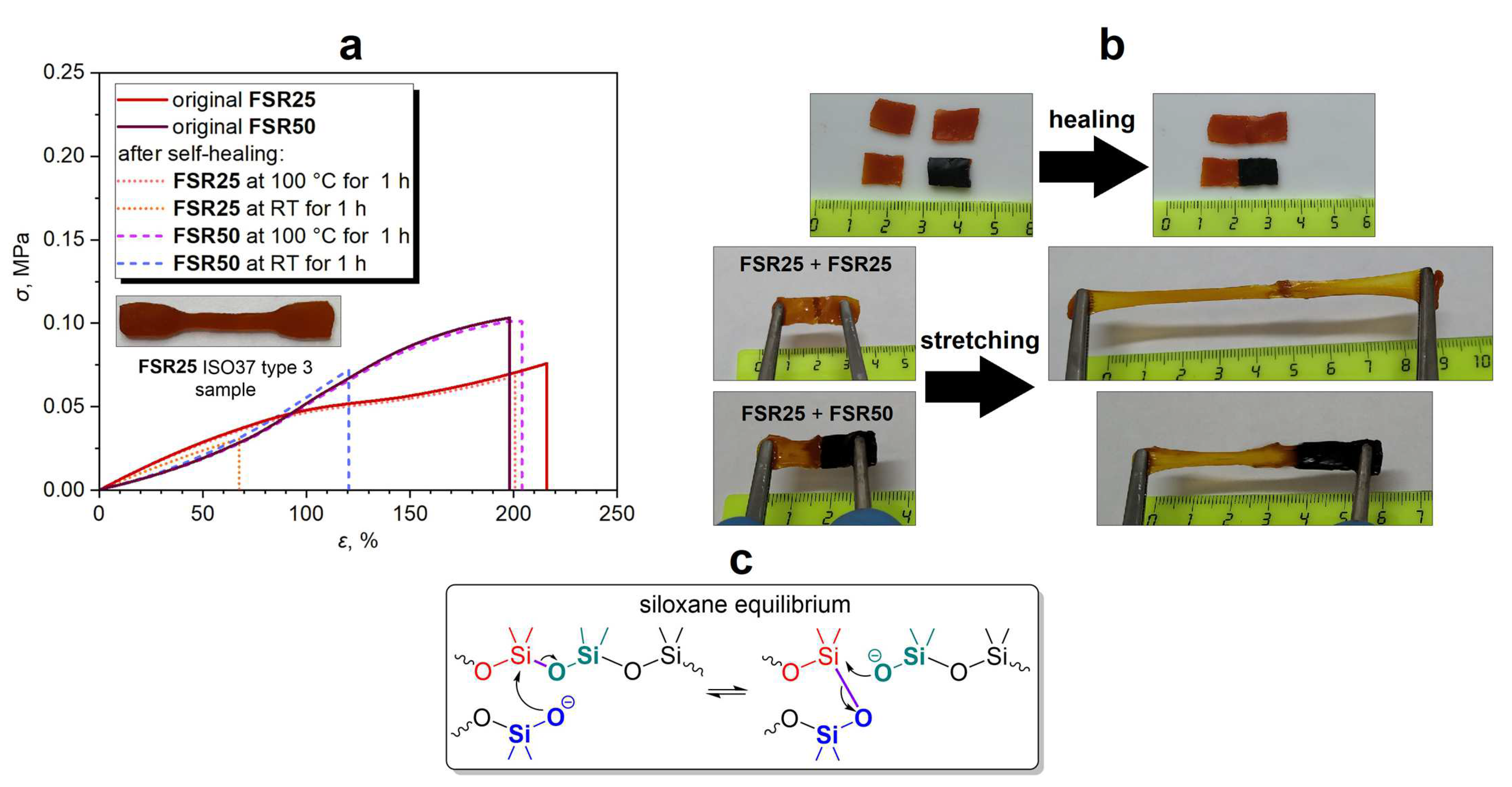 Coatings 13 01282 g002 Coatings 13 01282 g002