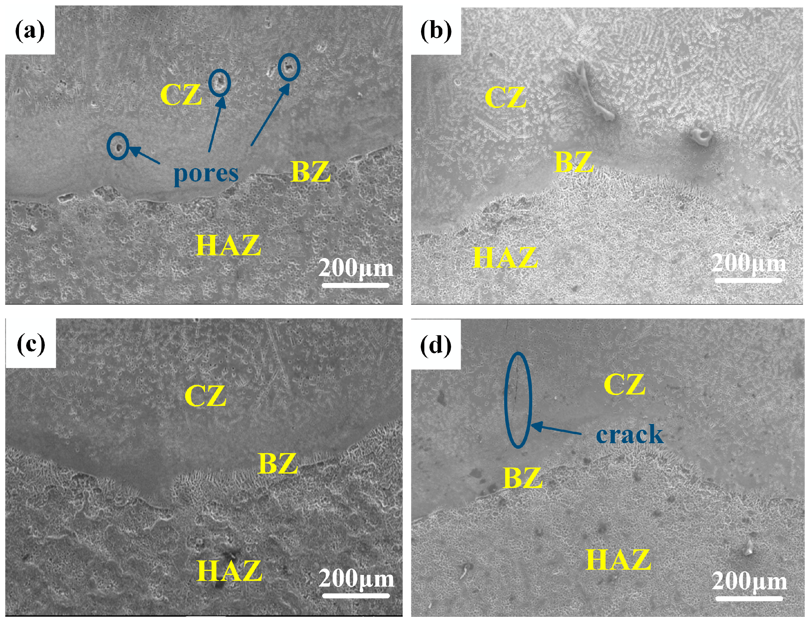 Coatings 13 01289 g005 Coatings 13 01289 g005