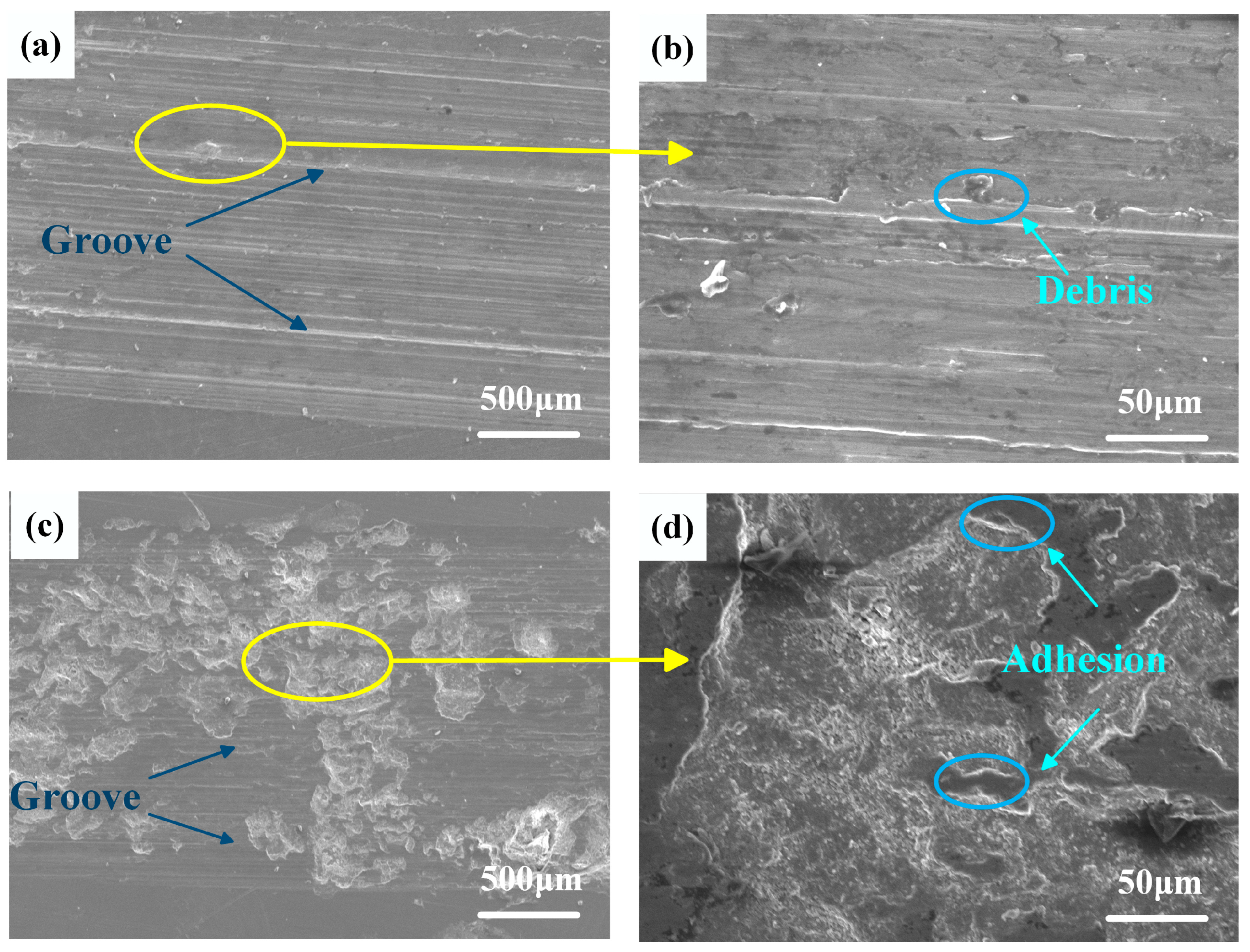 Coatings 13 01289 g009 Coatings 13 01289 g009