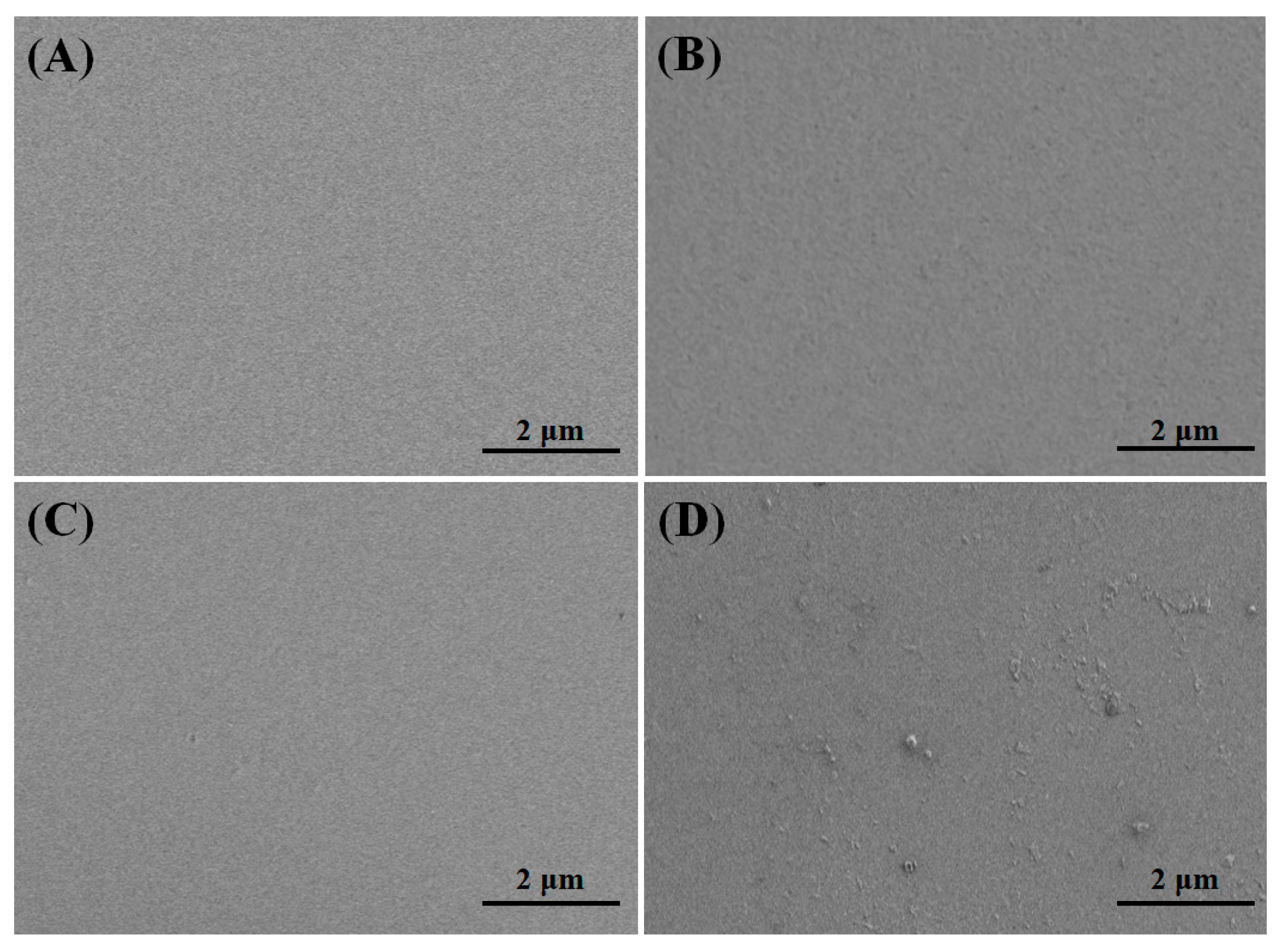 Coatings 13 01292 g004