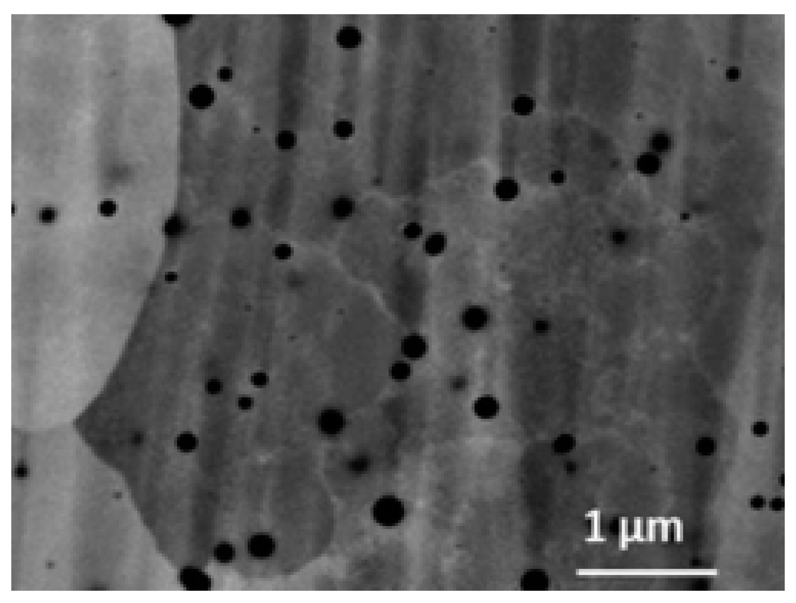 Coatings 13 01295 g005