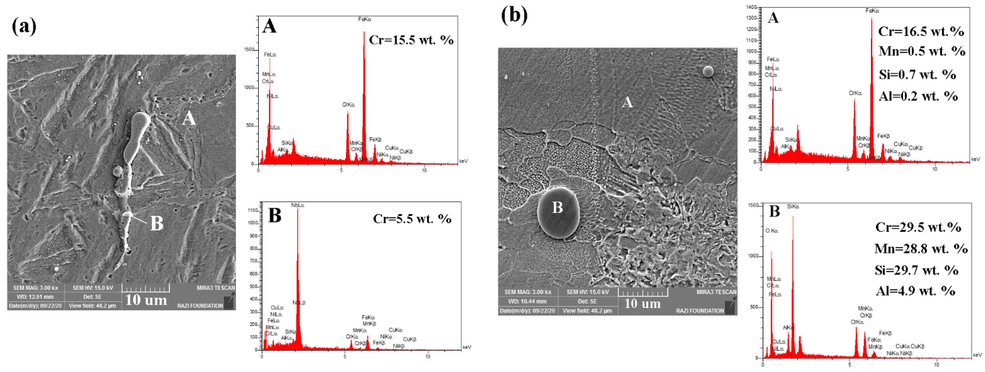 Coatings 13 01295 g007