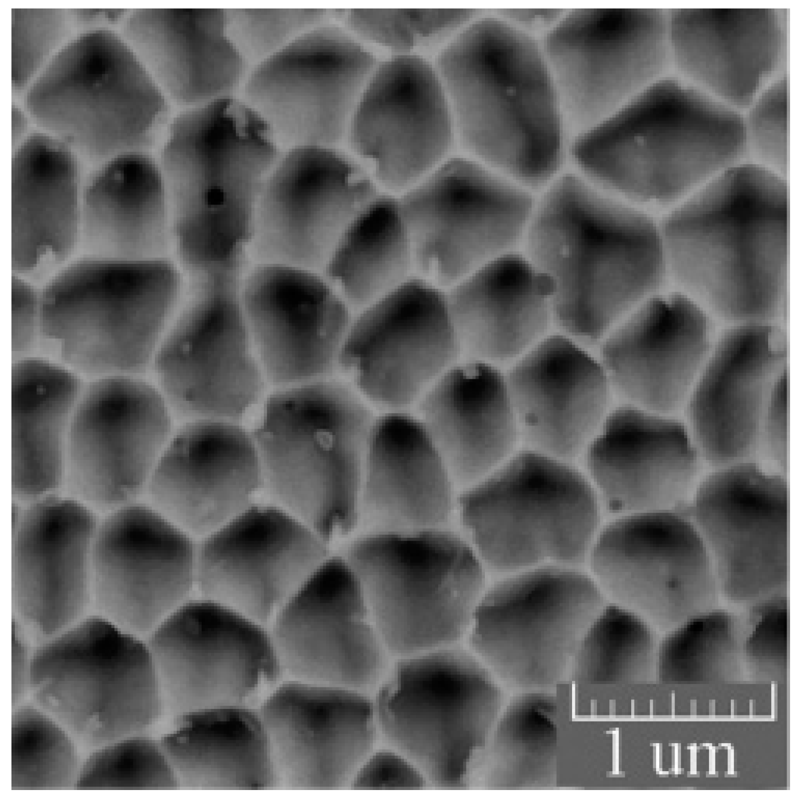 Coatings 13 01295 g010