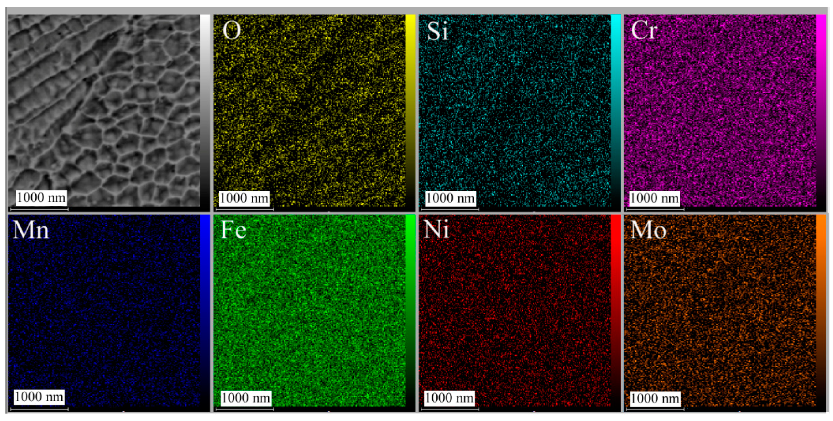 Coatings 13 01295 g015
