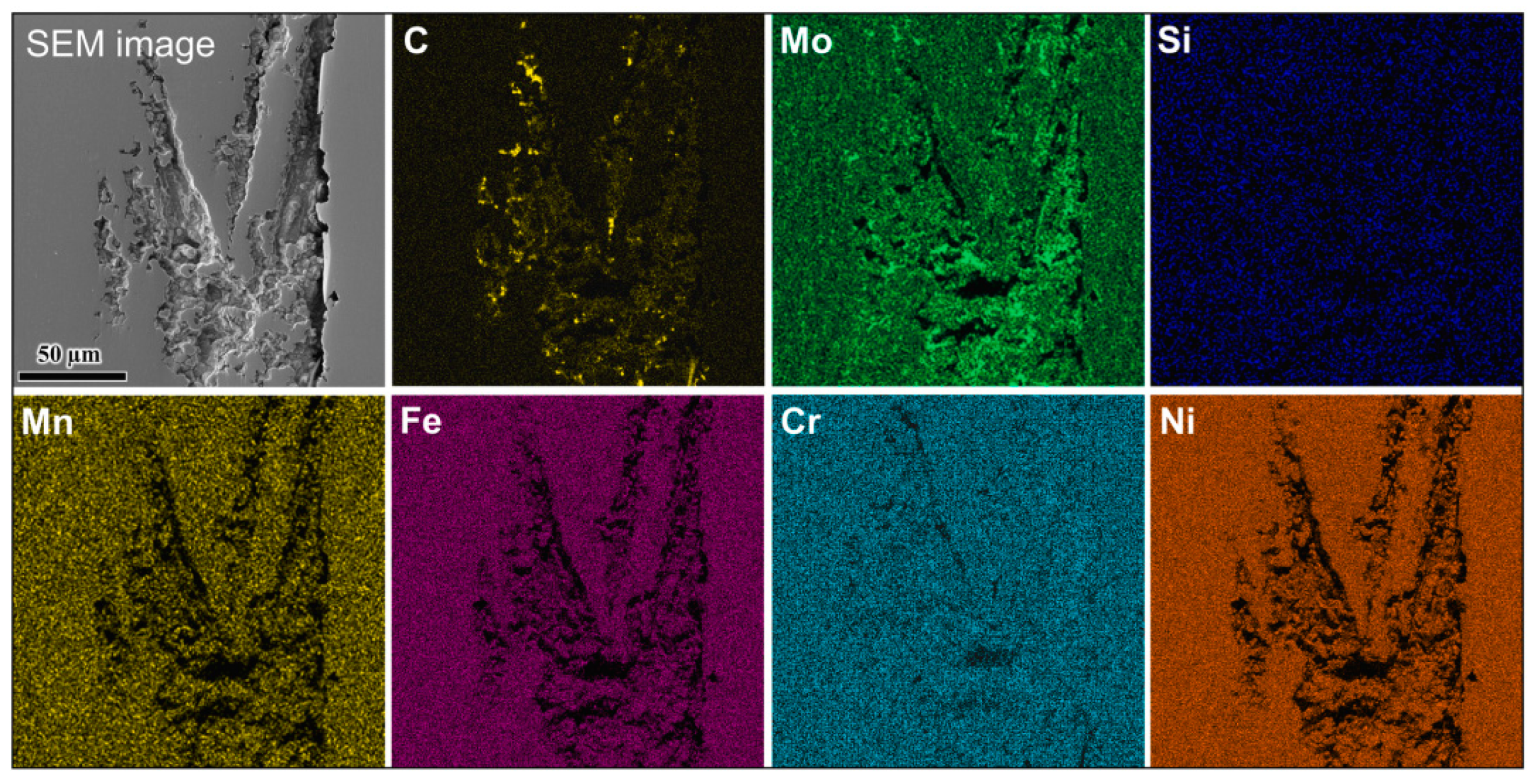 Coatings 13 01295 g017