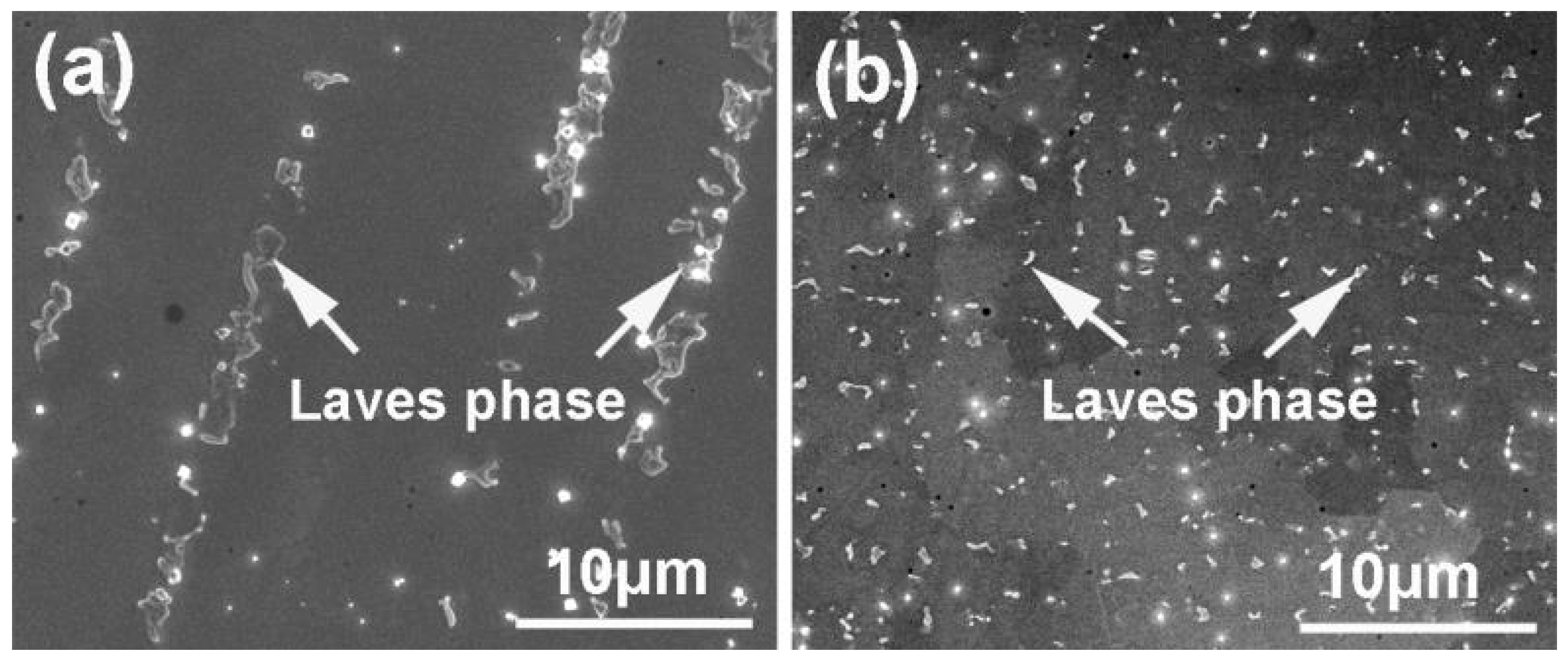 Coatings 13 01295 g019