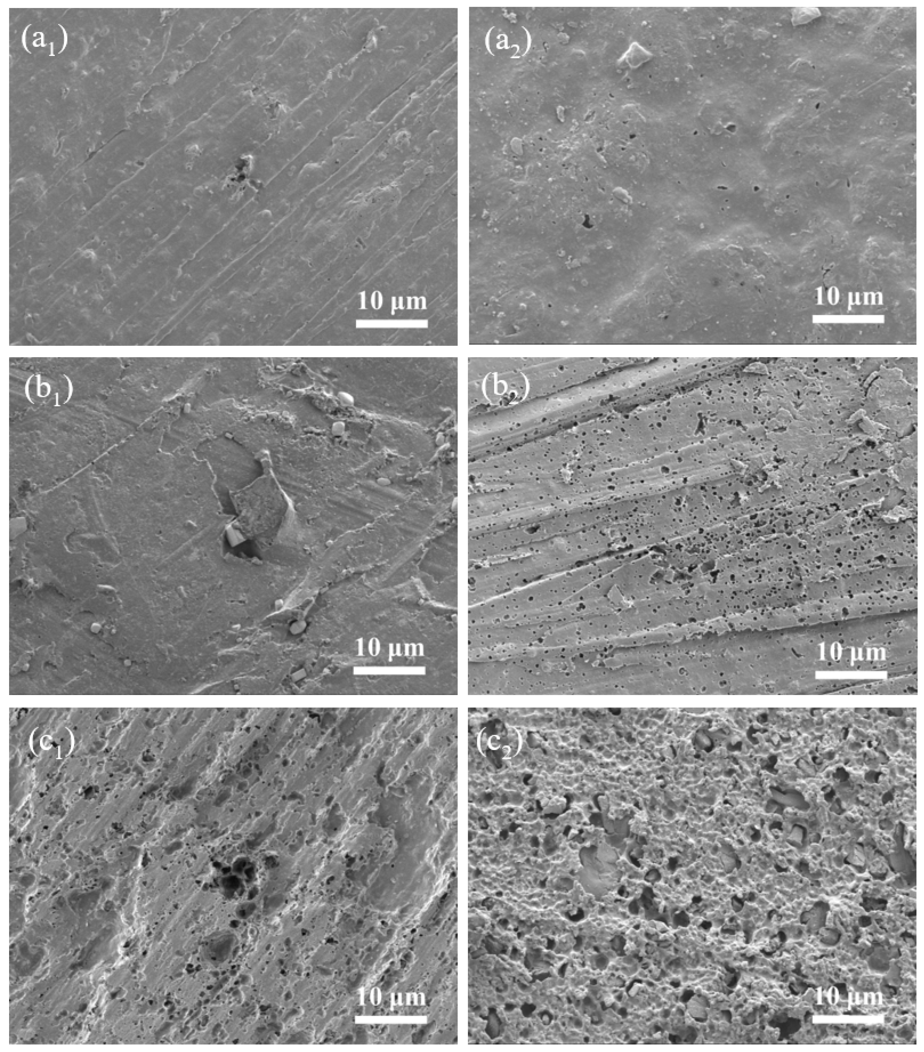 Coatings 13 01296 g010