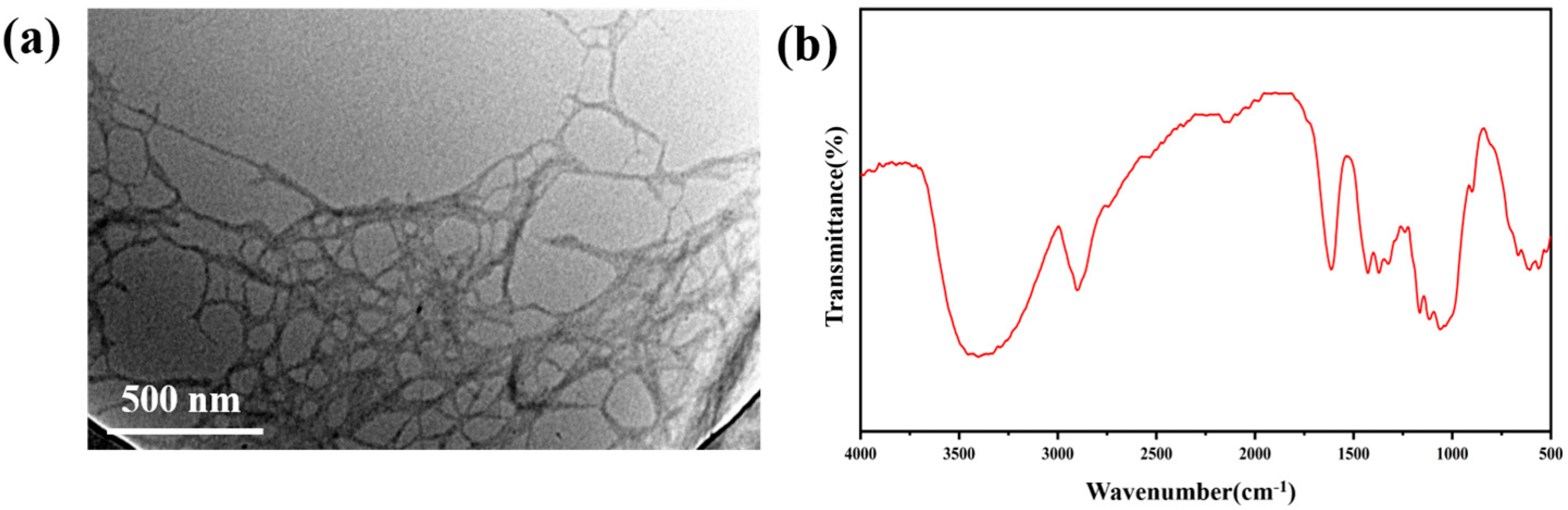 Coatings 13 01297 g001