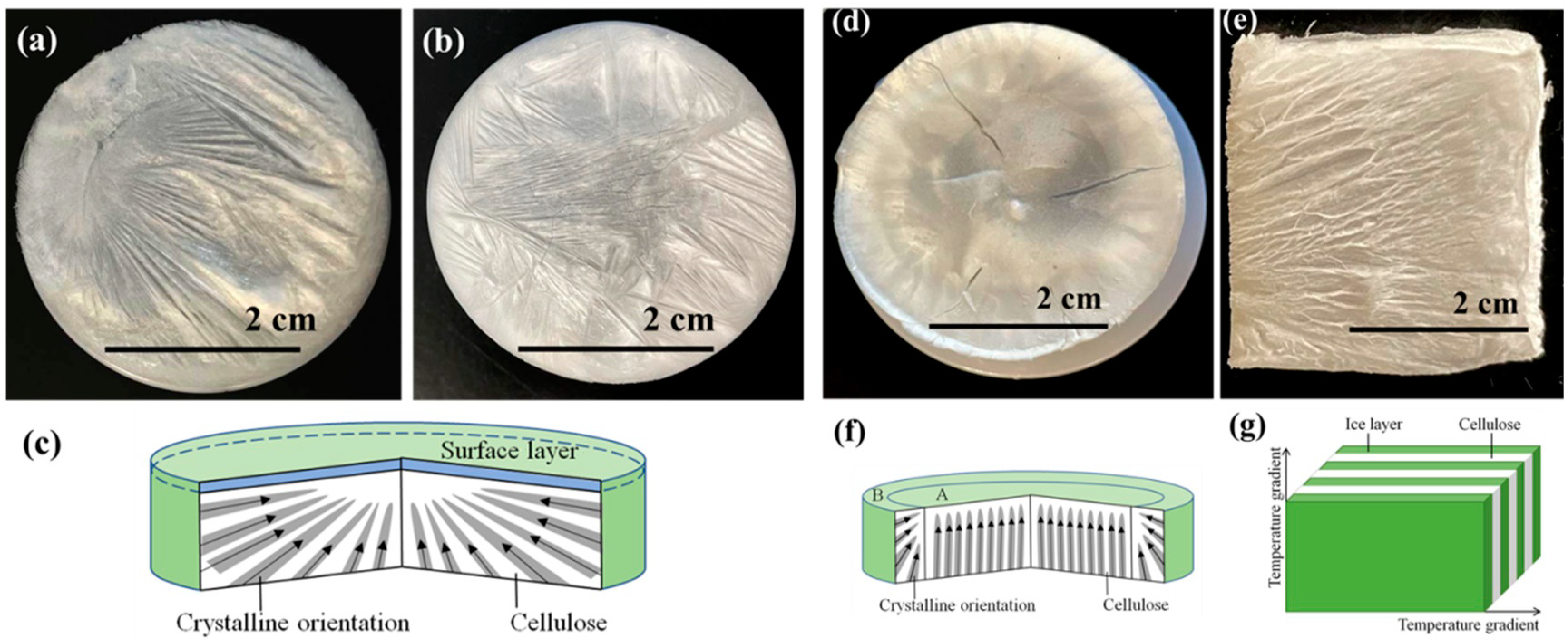 Coatings 13 01297 g003