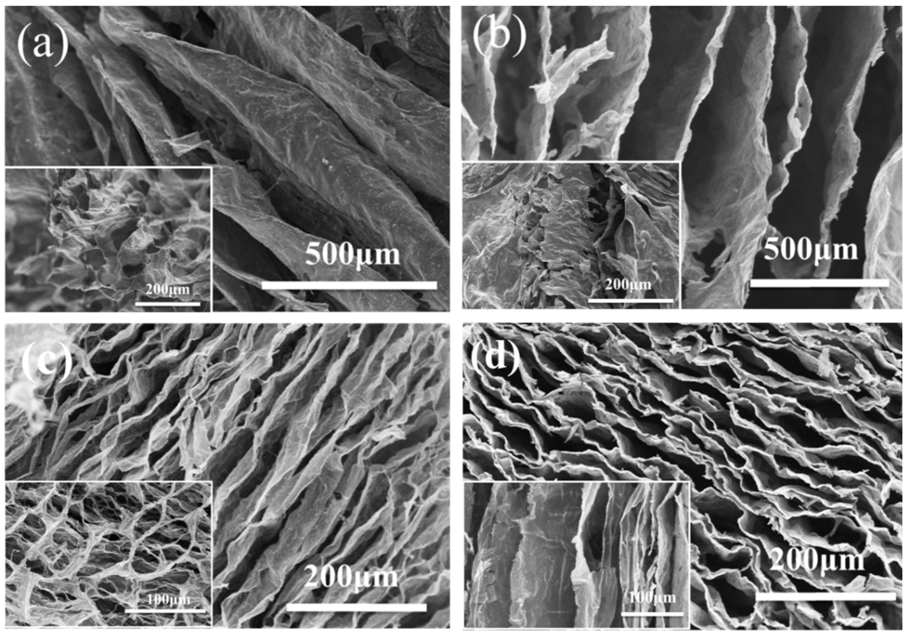 Coatings 13 01297 g004