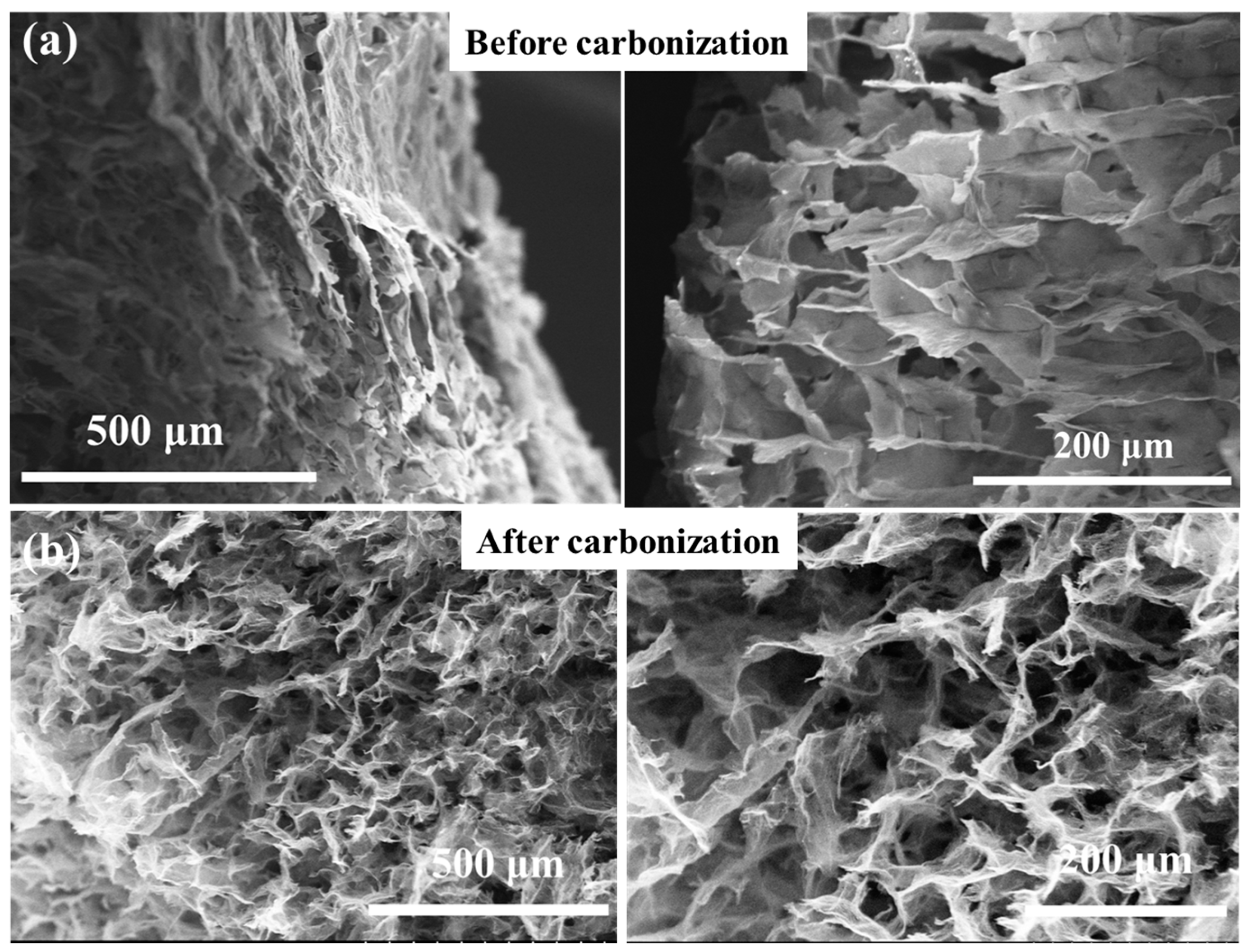 Coatings 13 01297 g005